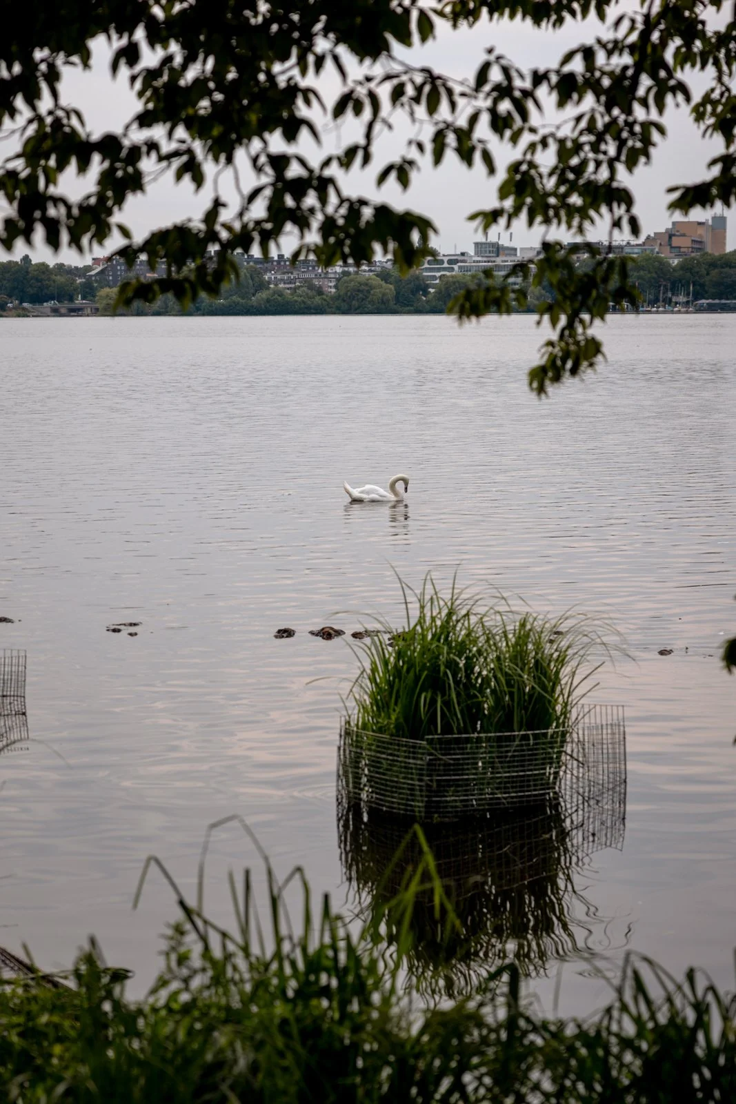 2026 HAMBURG ALSTER LAKES-55.jpg
