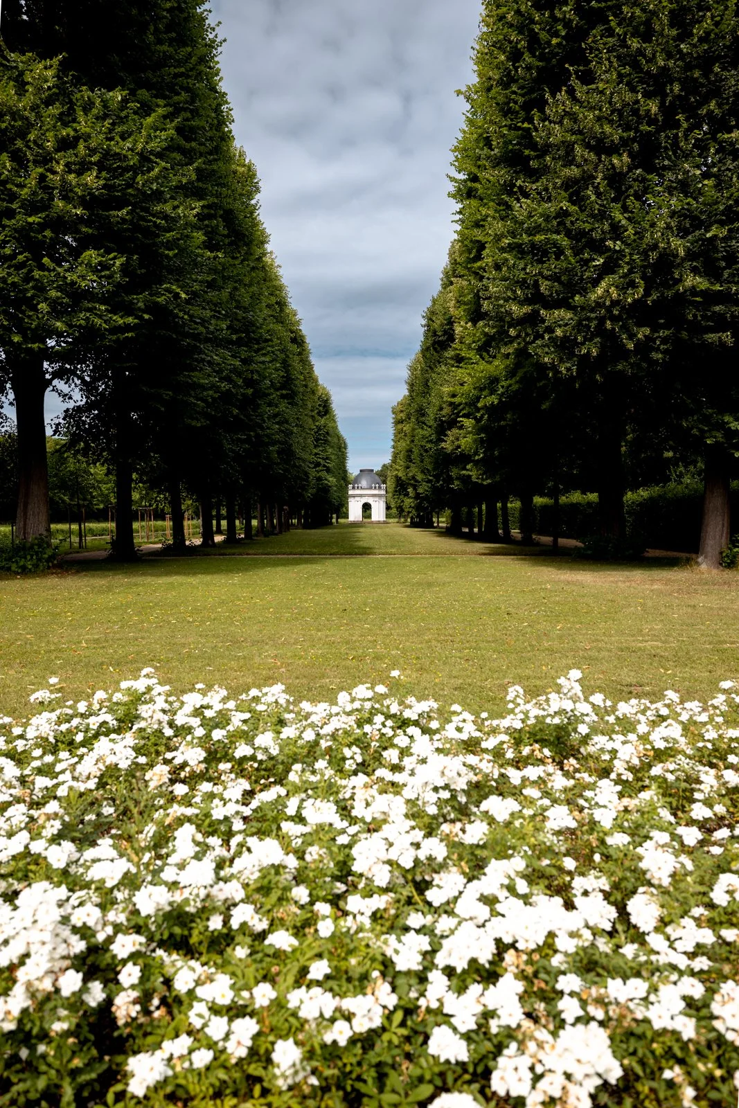 2026 HANOVER HERRENHAUSEN GARDENS AND UNIVERSITY-14.jpg