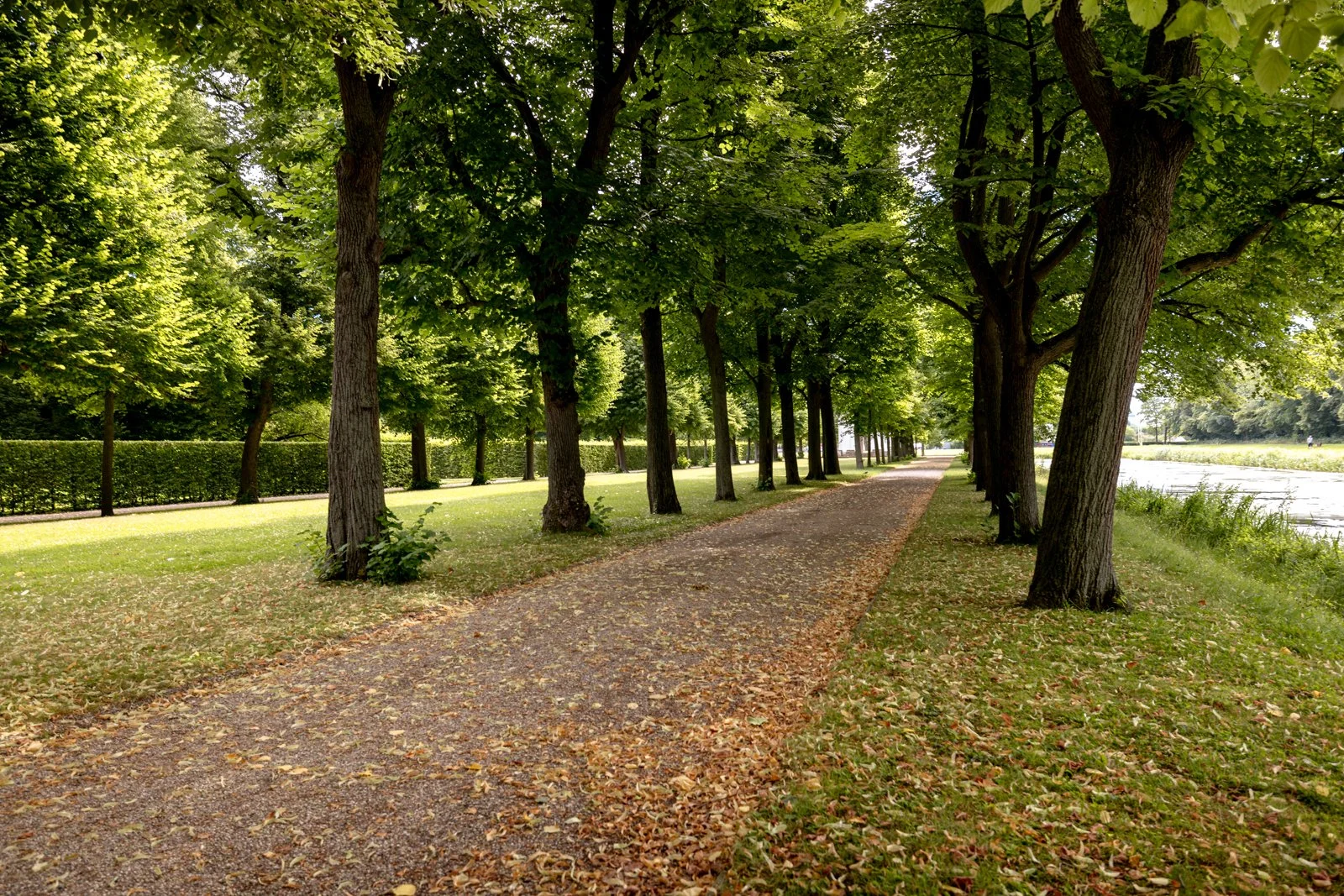 2026 HANOVER HERRENHAUSEN GARDENS AND UNIVERSITY-16.jpg