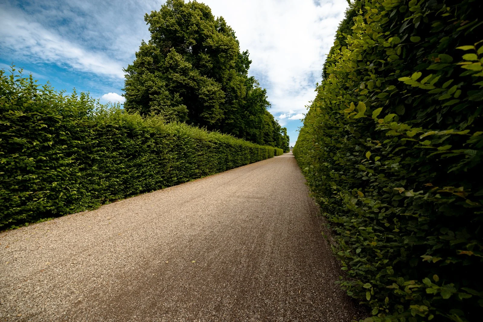 2026 HANOVER HERRENHAUSEN GARDENS AND UNIVERSITY-20.jpg