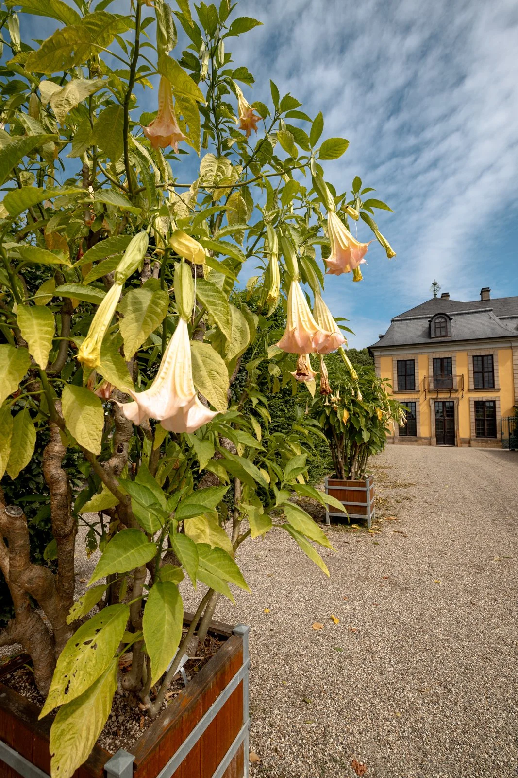 2026 HANOVER HERRENHAUSEN GARDENS AND UNIVERSITY-31.jpg