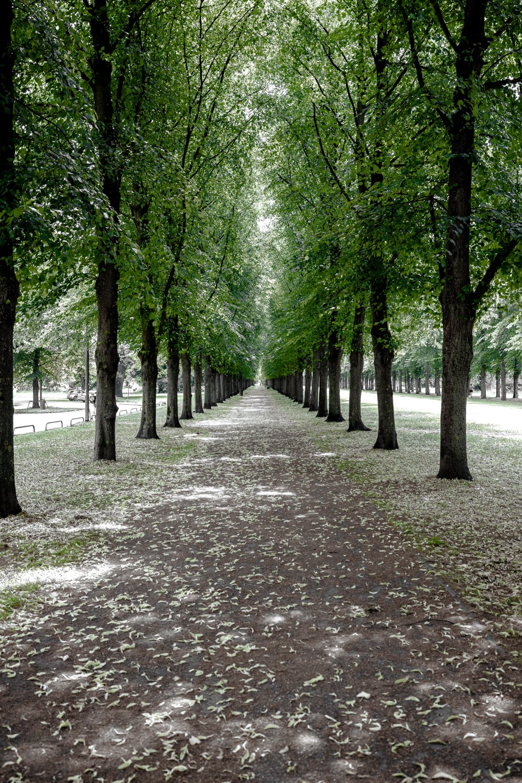 2026 HANOVER HERRENHAUSEN GARDENS AND UNIVERSITY-44.jpg