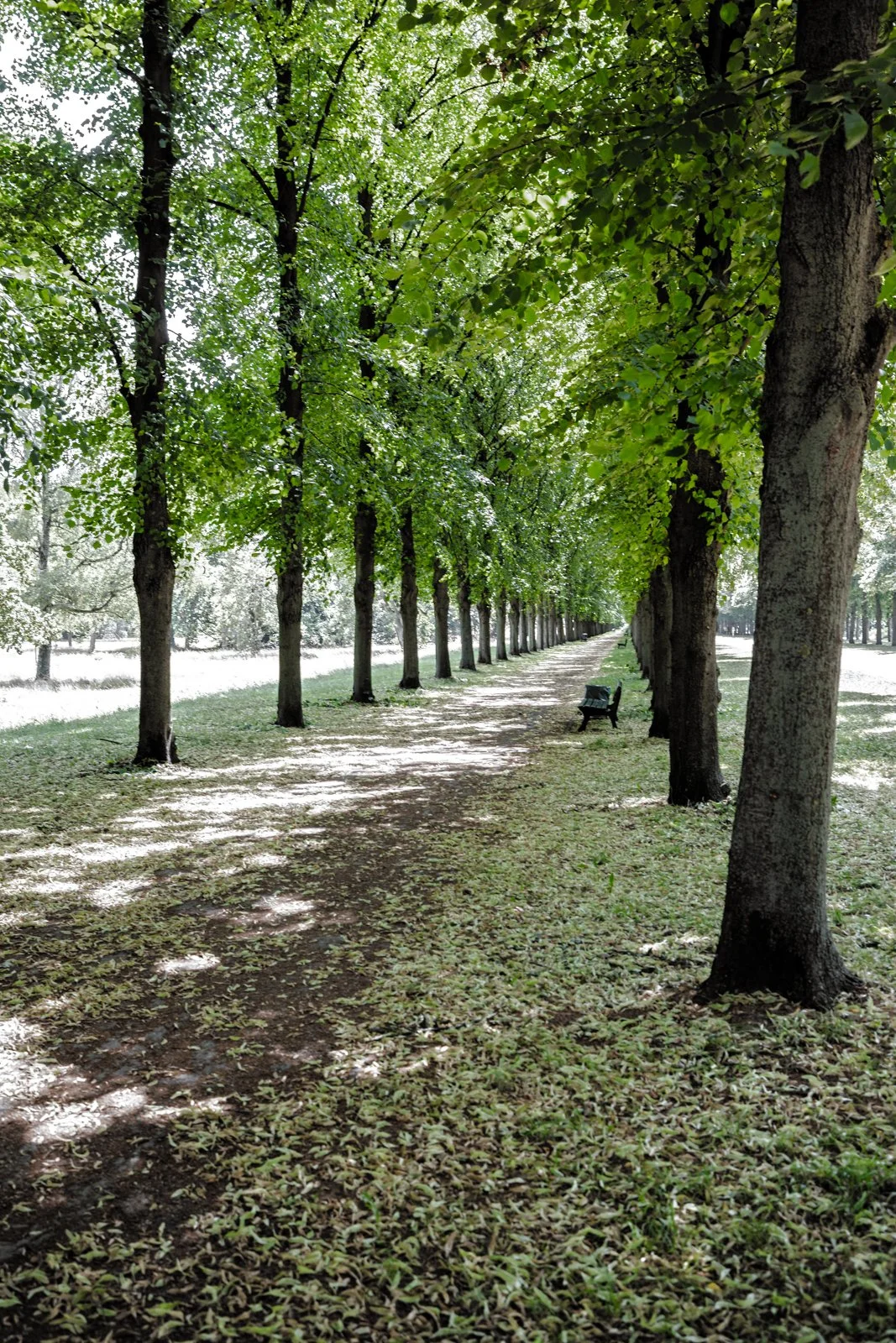 2026 HANOVER HERRENHAUSEN GARDENS AND UNIVERSITY-46.jpg