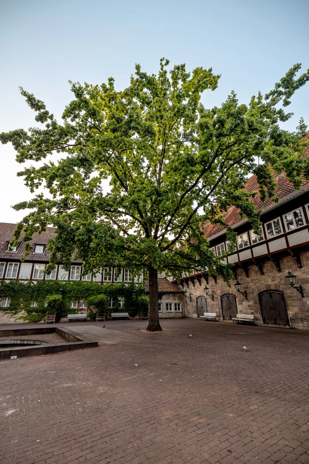 2026 HANOVER OLD TOWN-26.jpg