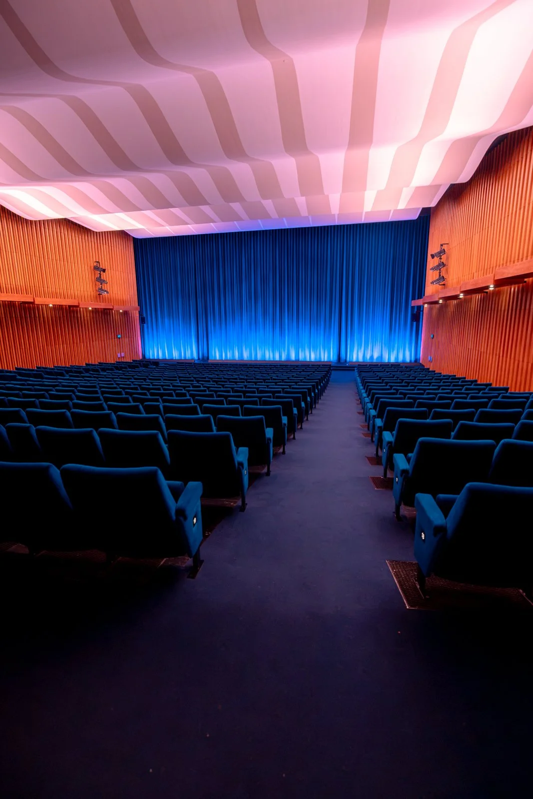 2026 BERLIN KINO INTERNATIONAL-13.jpg