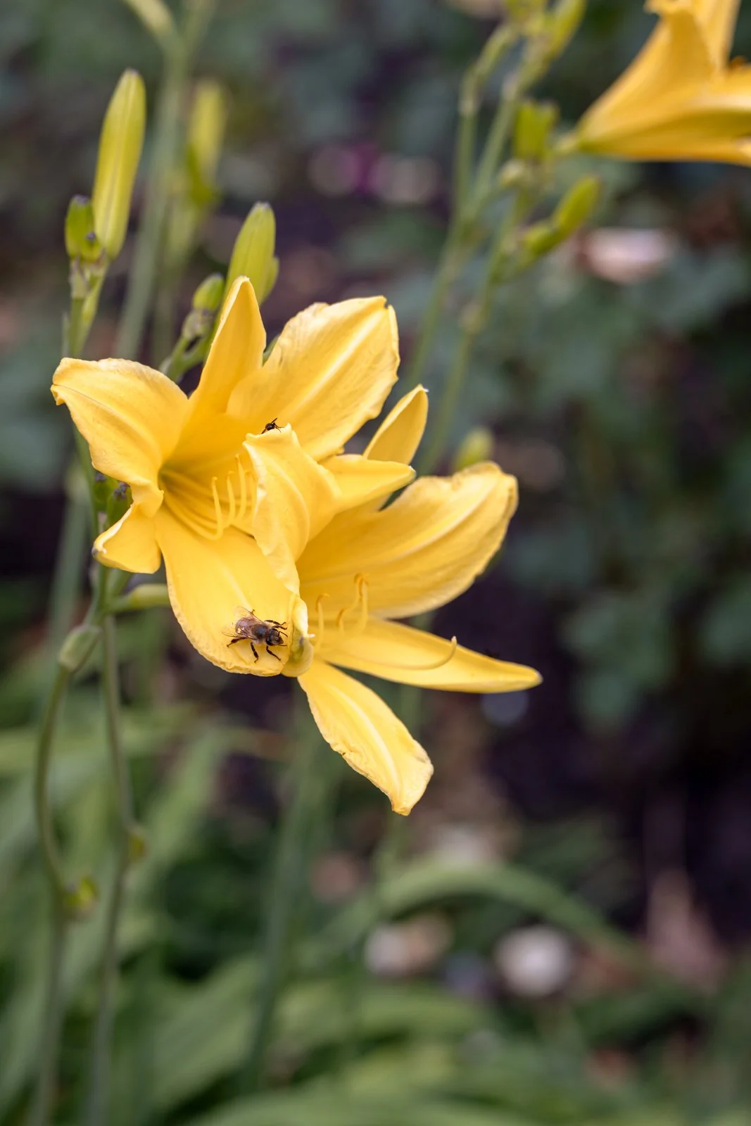 2026 BERLIN TIERGARDEN-8.jpg