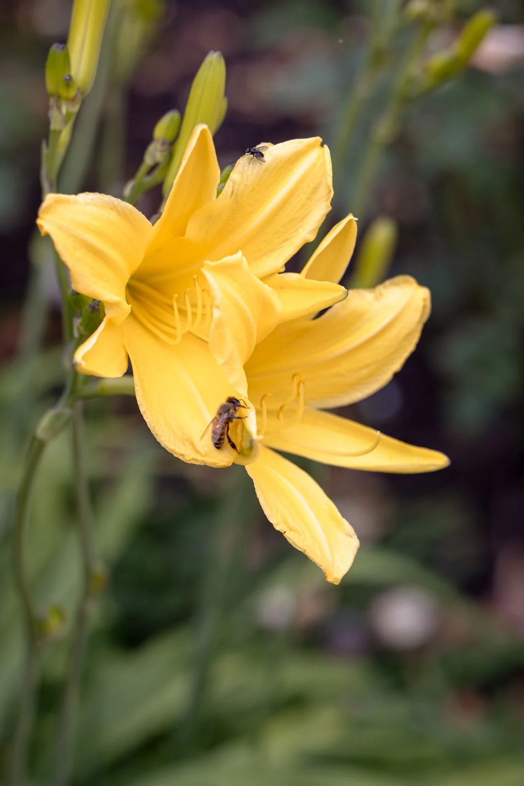 2026 BERLIN TIERGARDEN-9.jpg