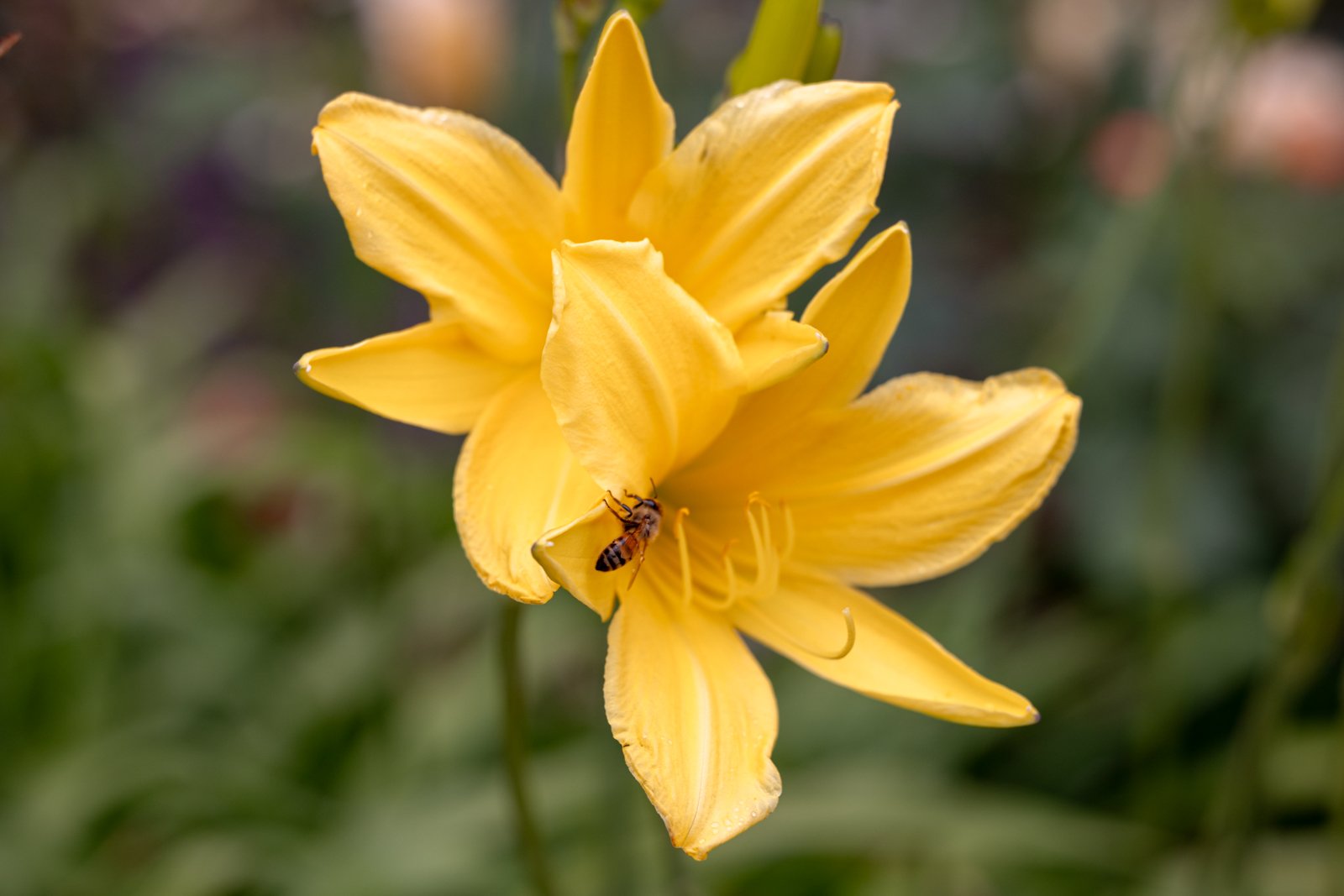 2026 BERLIN TIERGARDEN-11.jpg