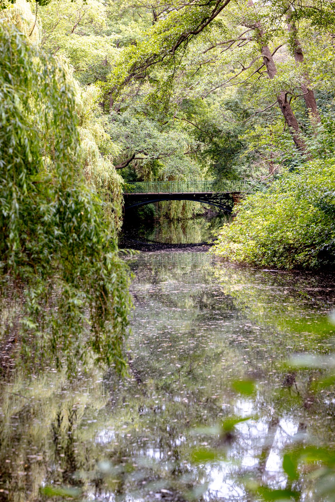 2026 BERLIN TIERGARDEN-19.jpg