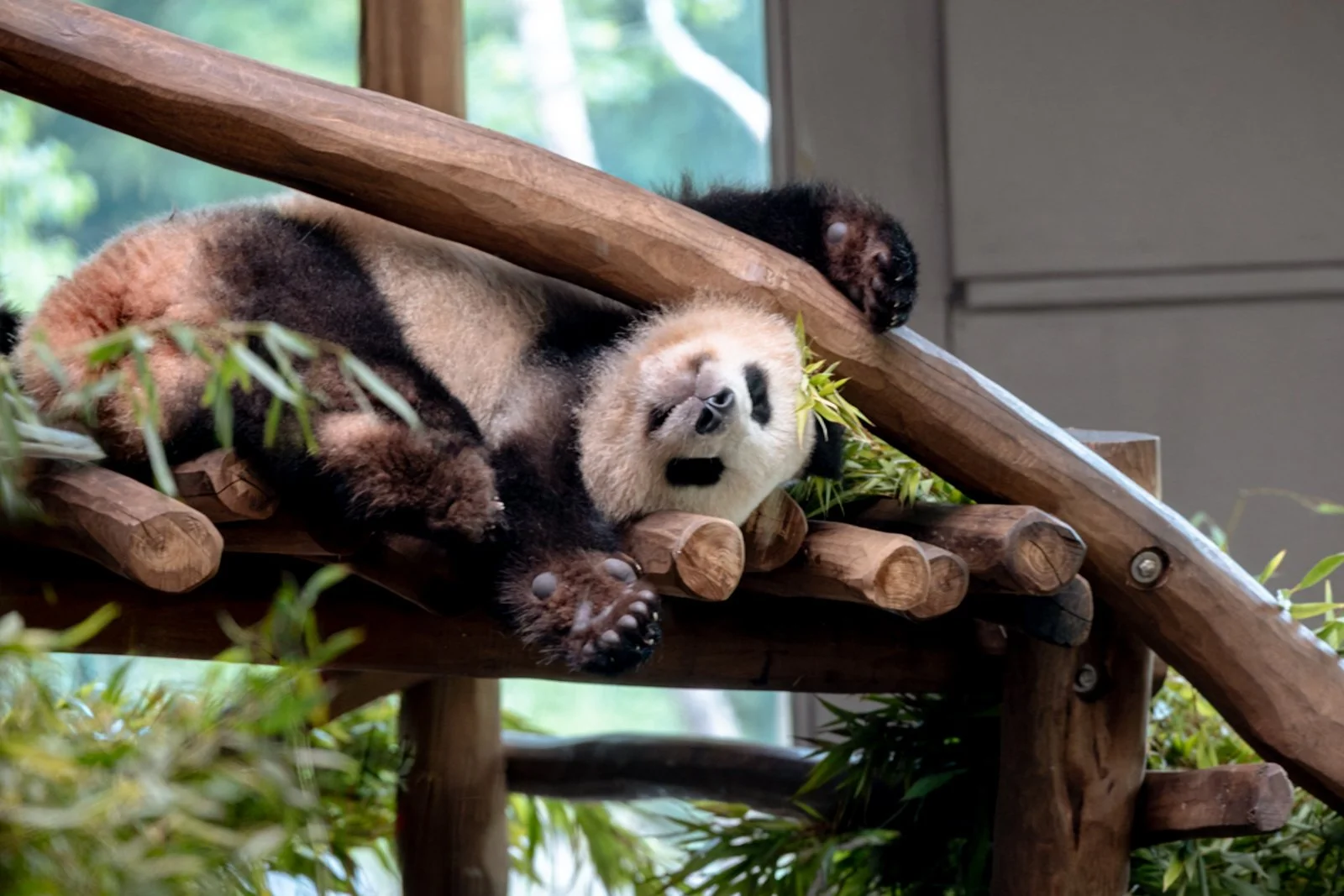 2026 BERLIN ZOO-2.jpg