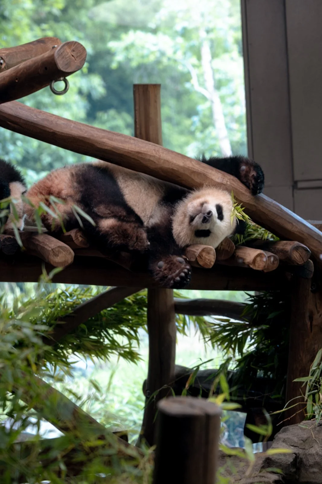 2026 BERLIN ZOO-3.jpg