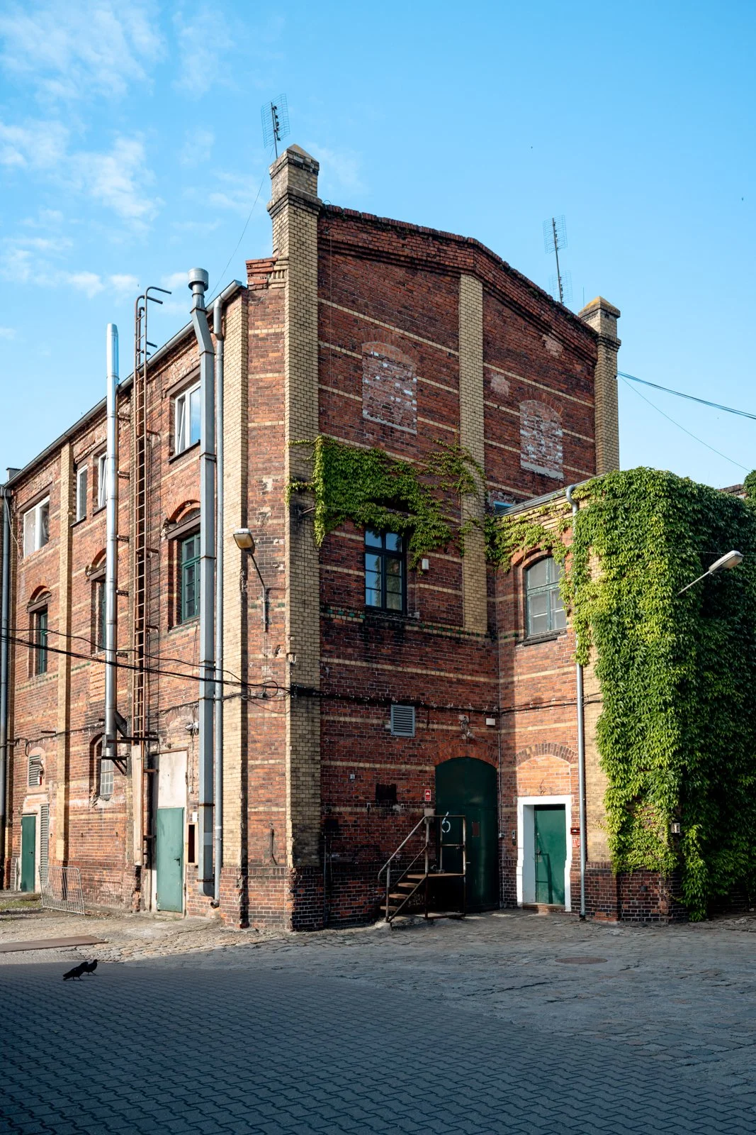 2026 WROCLAW BROWAR MIESZCZANSKI-25.jpg