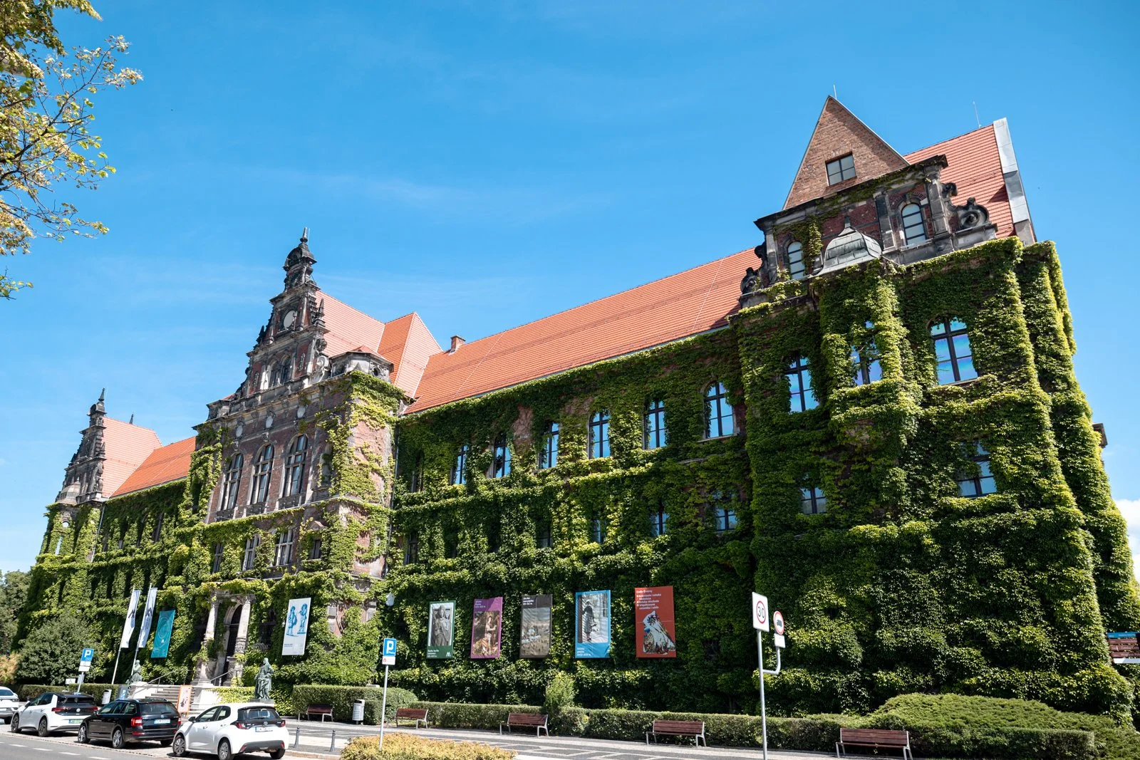 2026 WROCLAW FOSA MIEJSKA-35.jpg