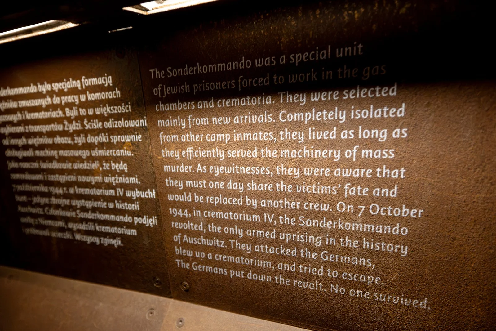2026 WARSAW POLIN MUSEUM-28.jpg