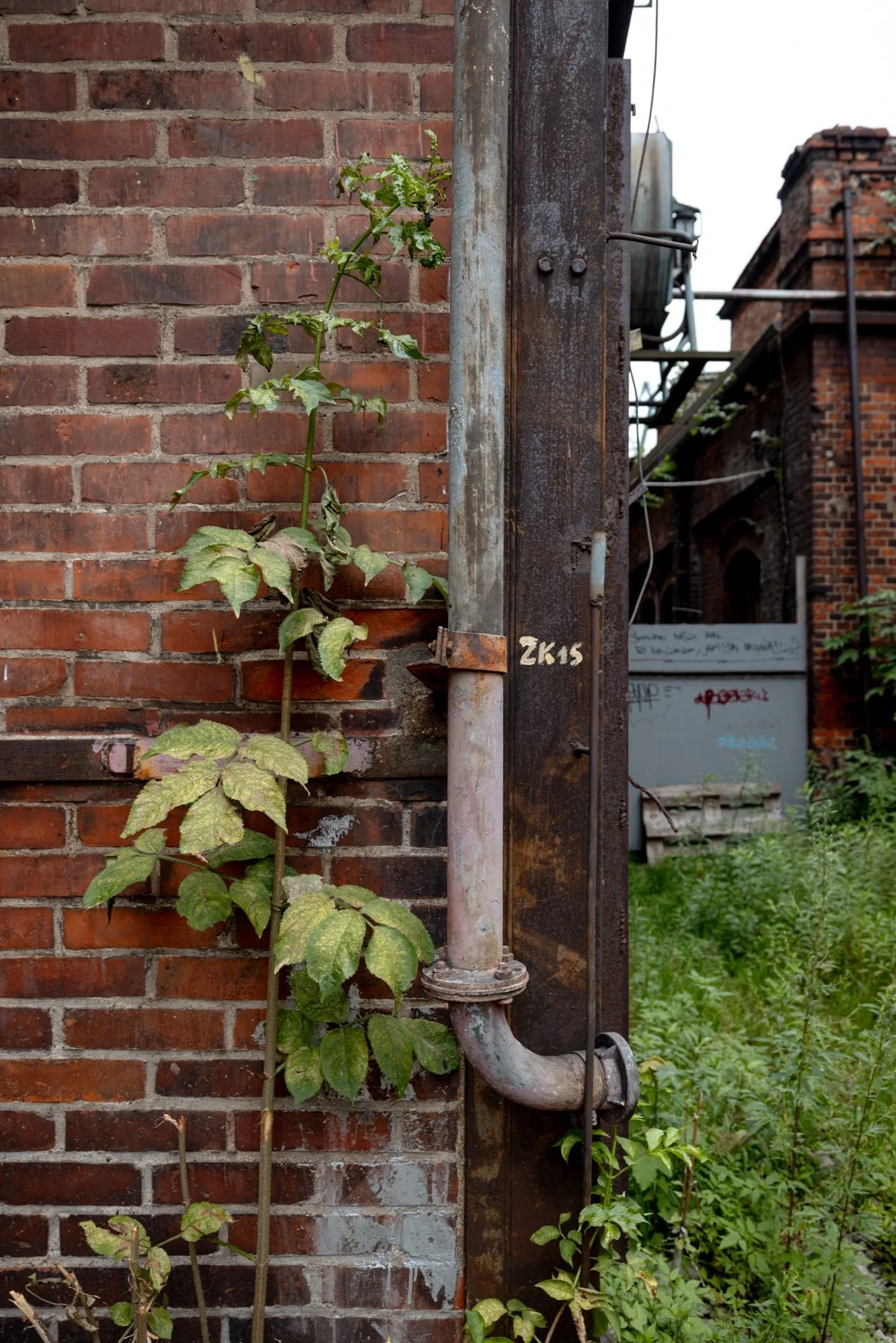2026 GDANSK ABANDONED SHIPYARDS-9.jpg