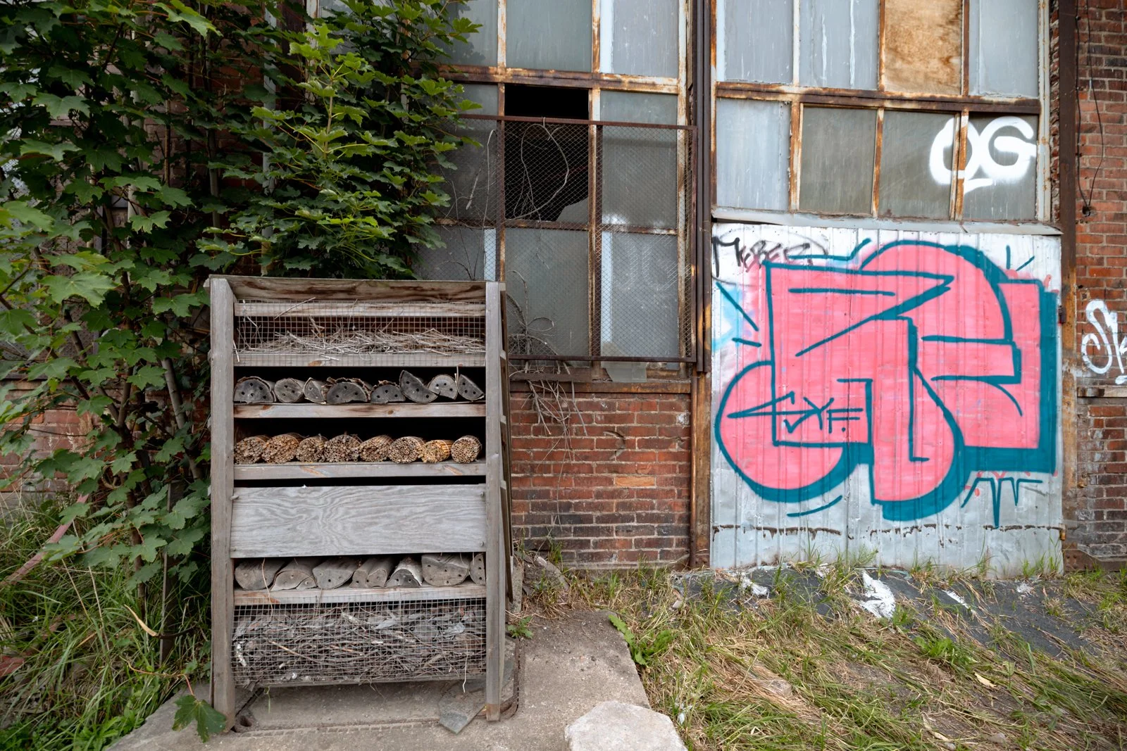 2026 GDANSK ABANDONED SHIPYARDS-12.jpg