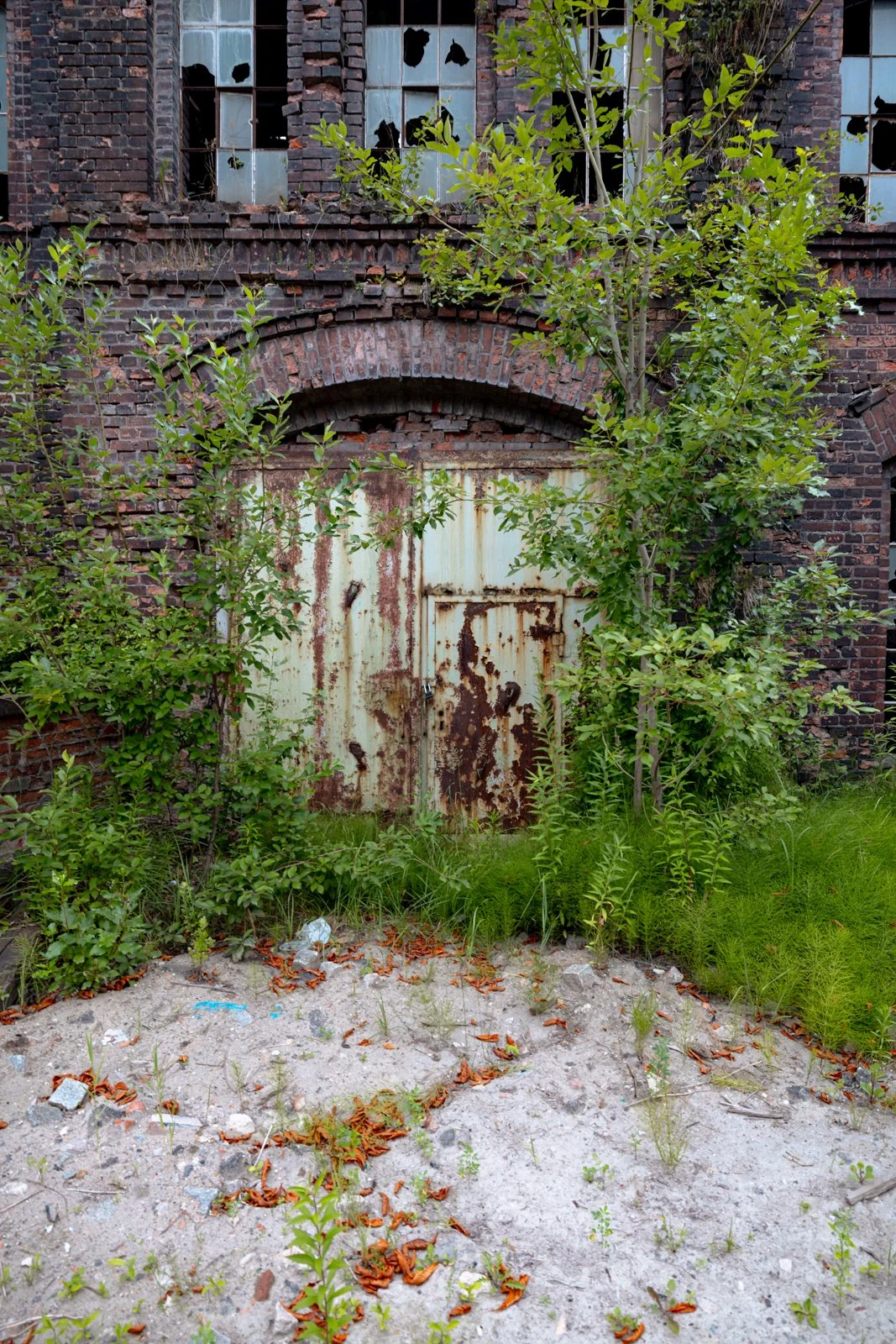 2026 GDANSK ABANDONED SHIPYARDS-24.jpg