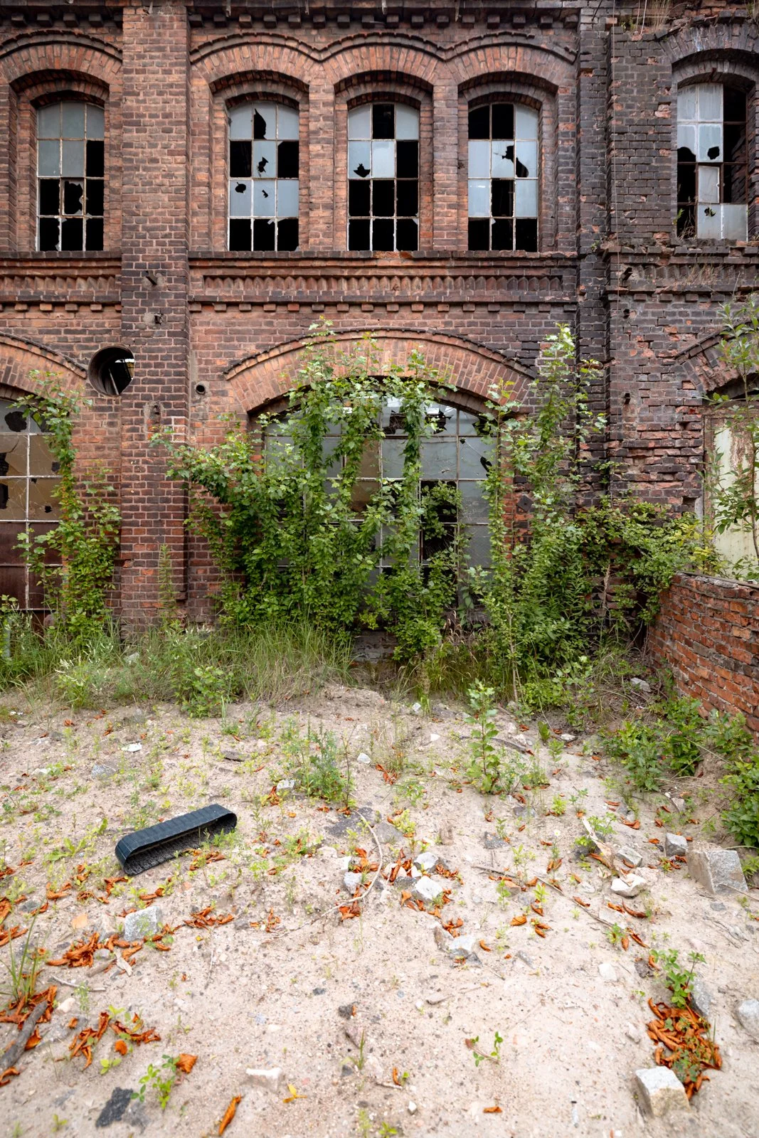 2026 GDANSK ABANDONED SHIPYARDS-25.jpg