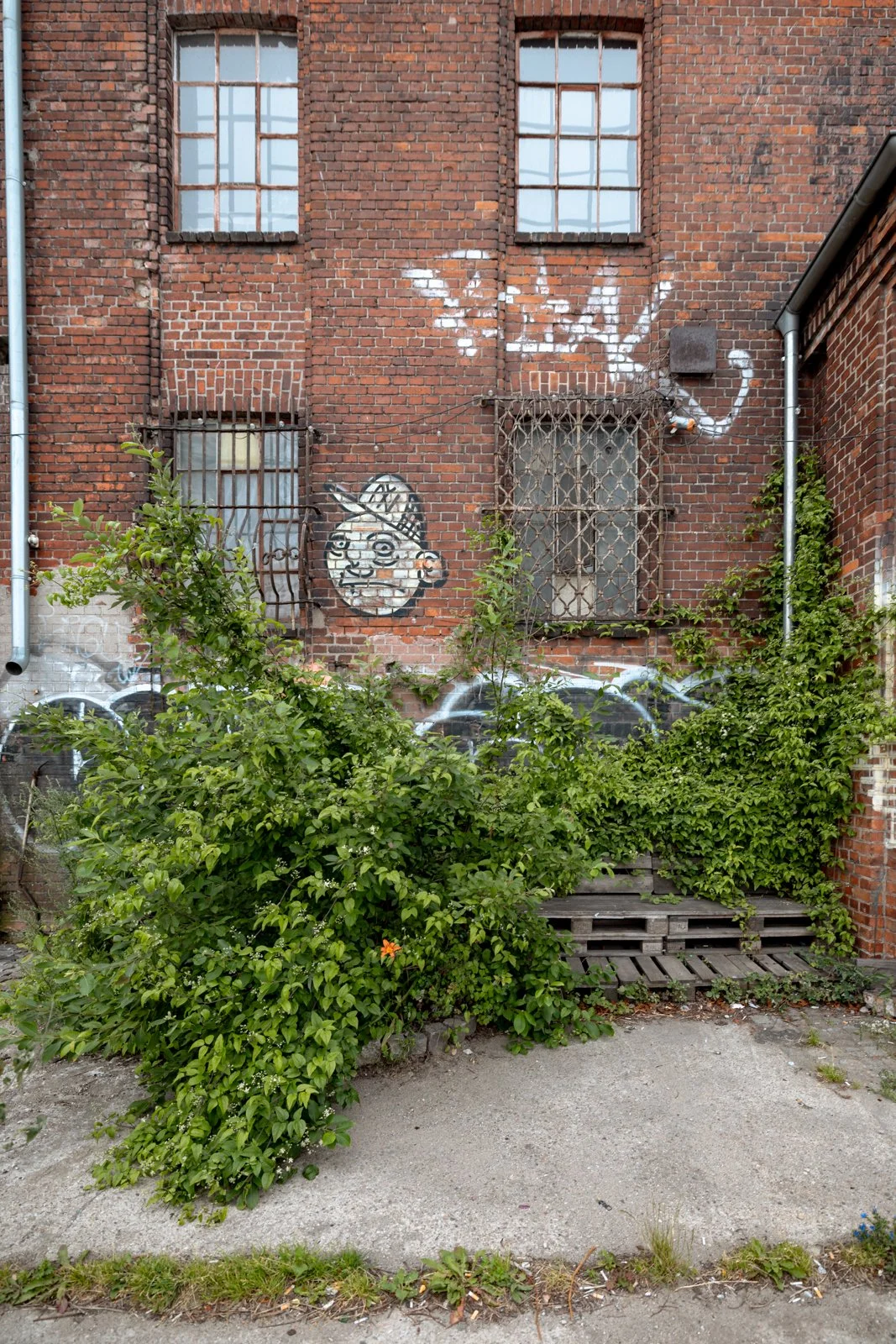 2026 GDANSK ABANDONED SHIPYARDS-63.jpg