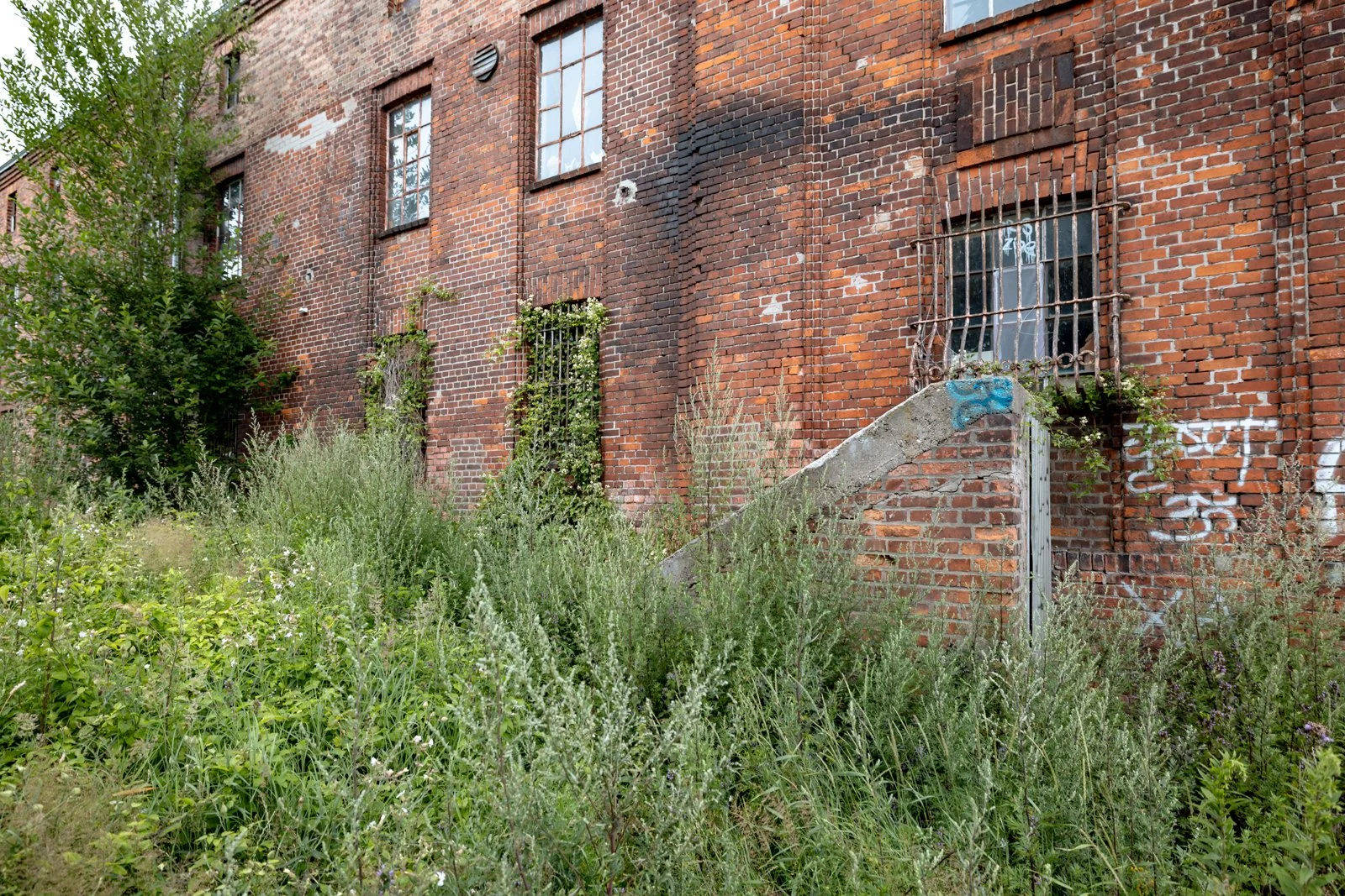 2026 GDANSK ABANDONED SHIPYARDS-65.jpg