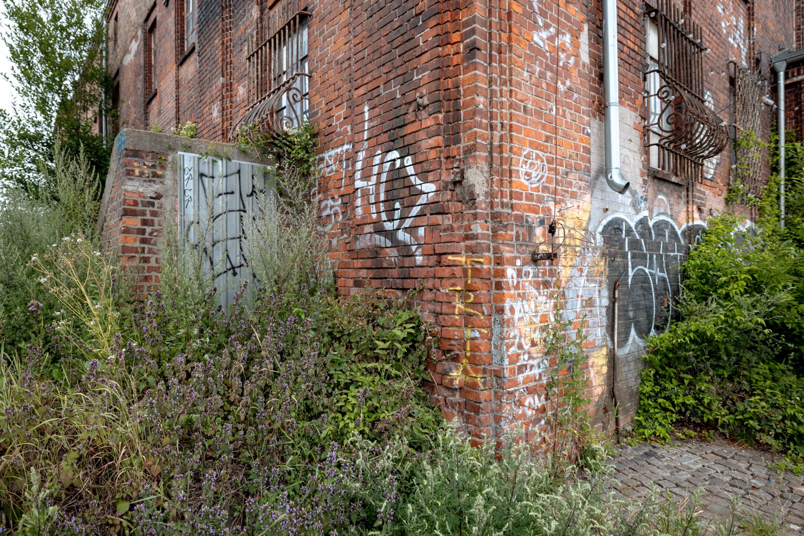 2026 GDANSK ABANDONED SHIPYARDS-66.jpg