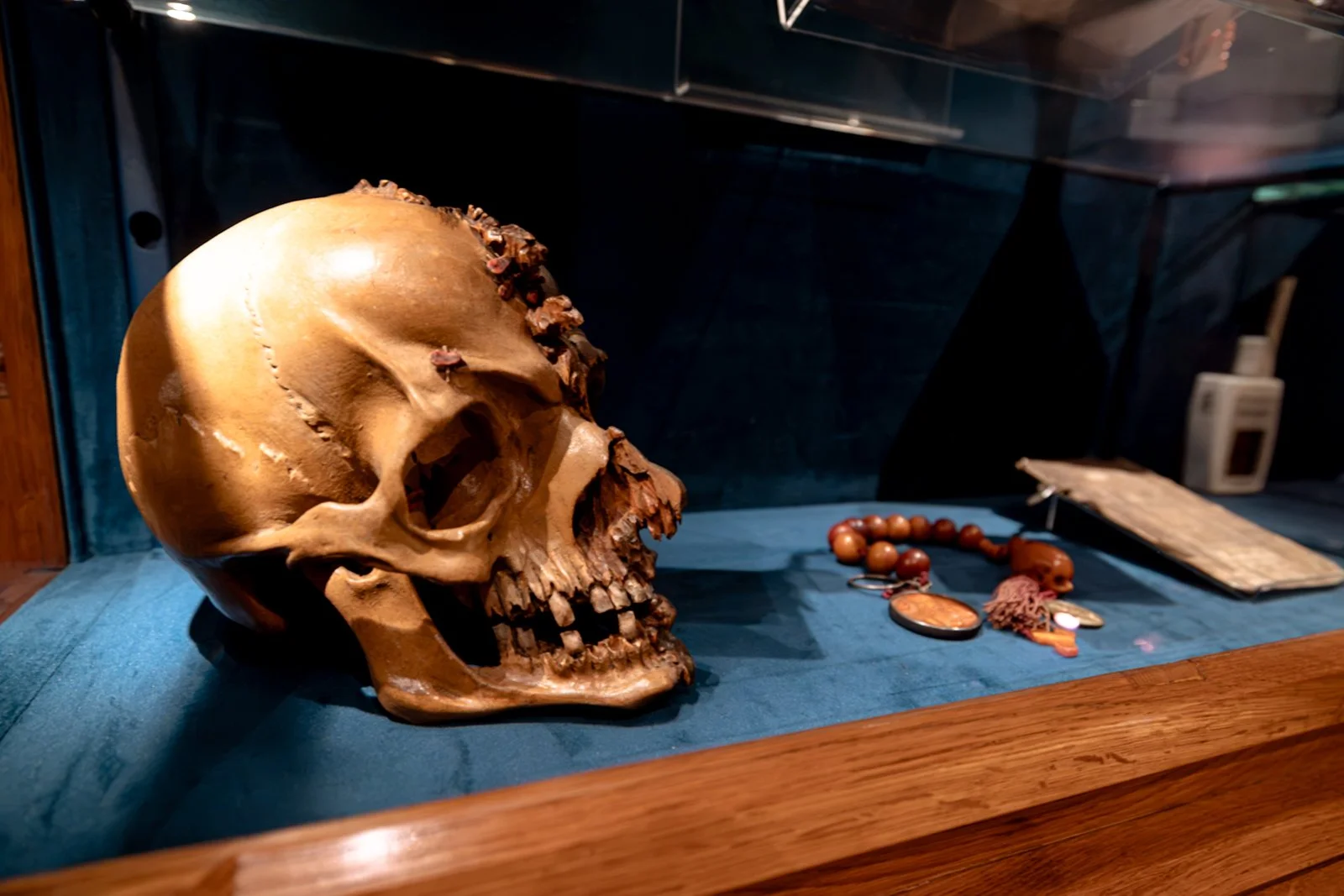 2026 KRAKOW CZARTORYSKI MUSEUM-21.jpg