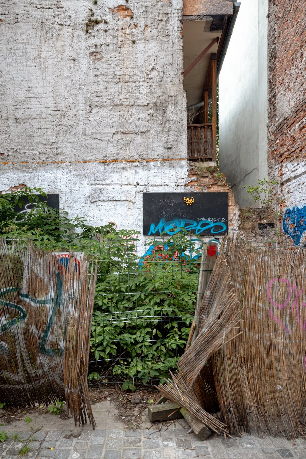 2026 KRAKOW KAZIMIERZ-36.jpg