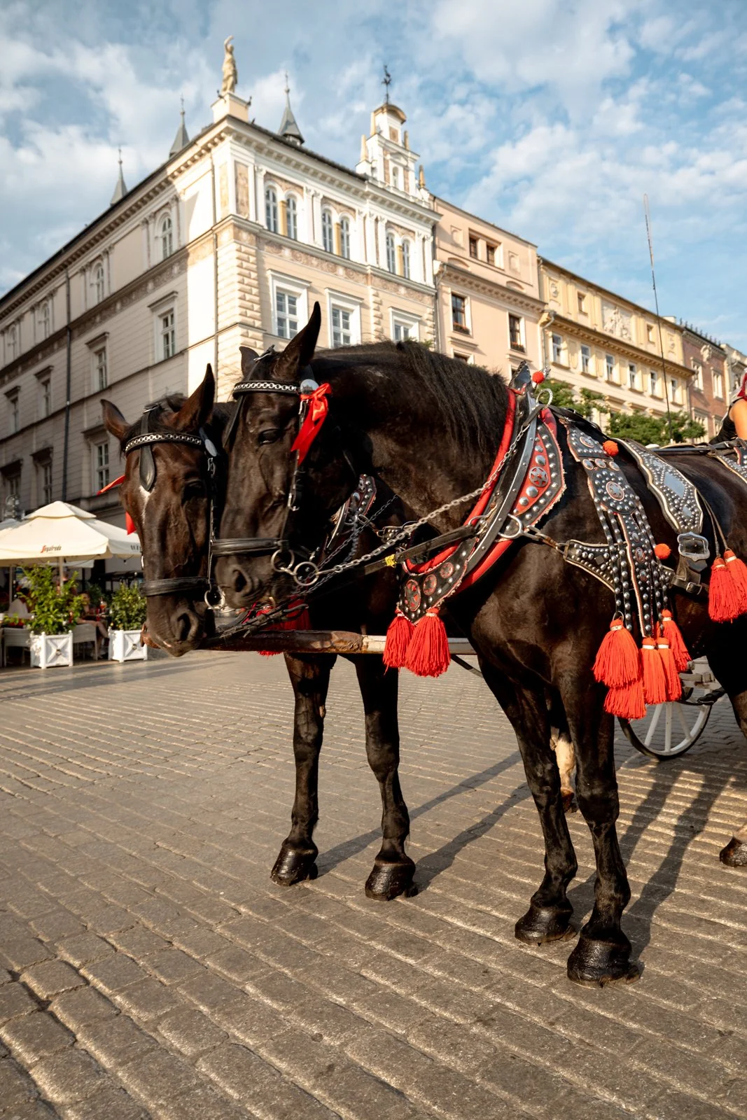 2026 KRAKOW OLD TOWN-19.jpg