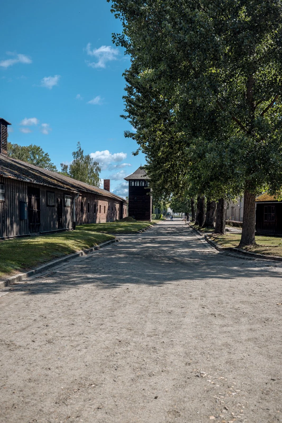 2026 AUSCHWITZ CAMP 1-5.jpg