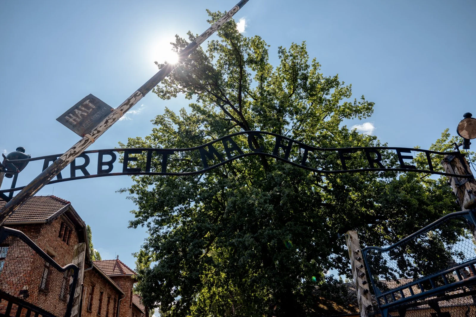 2026 AUSCHWITZ CAMP 1-6.jpg