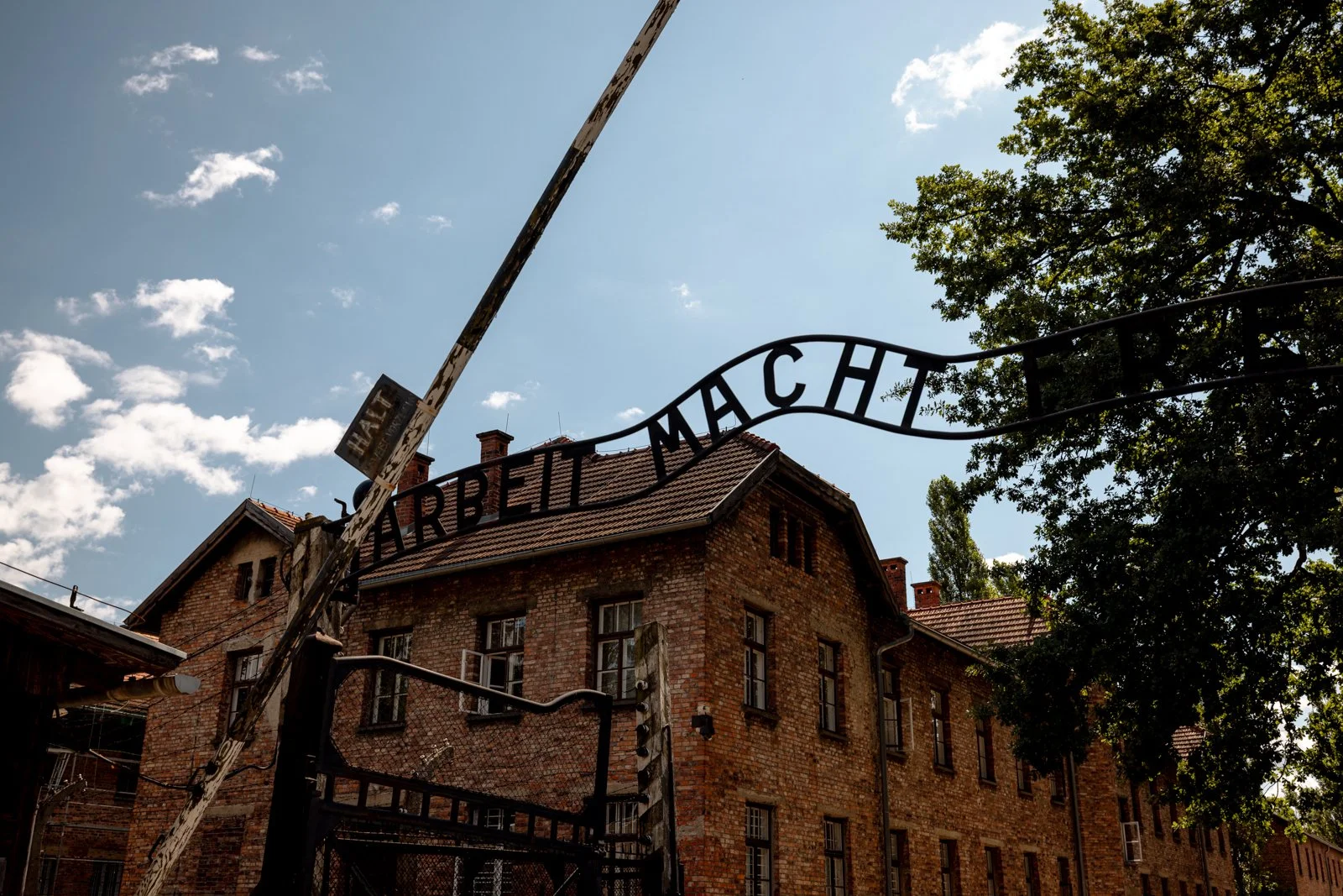 2026 AUSCHWITZ CAMP 1-7.jpg