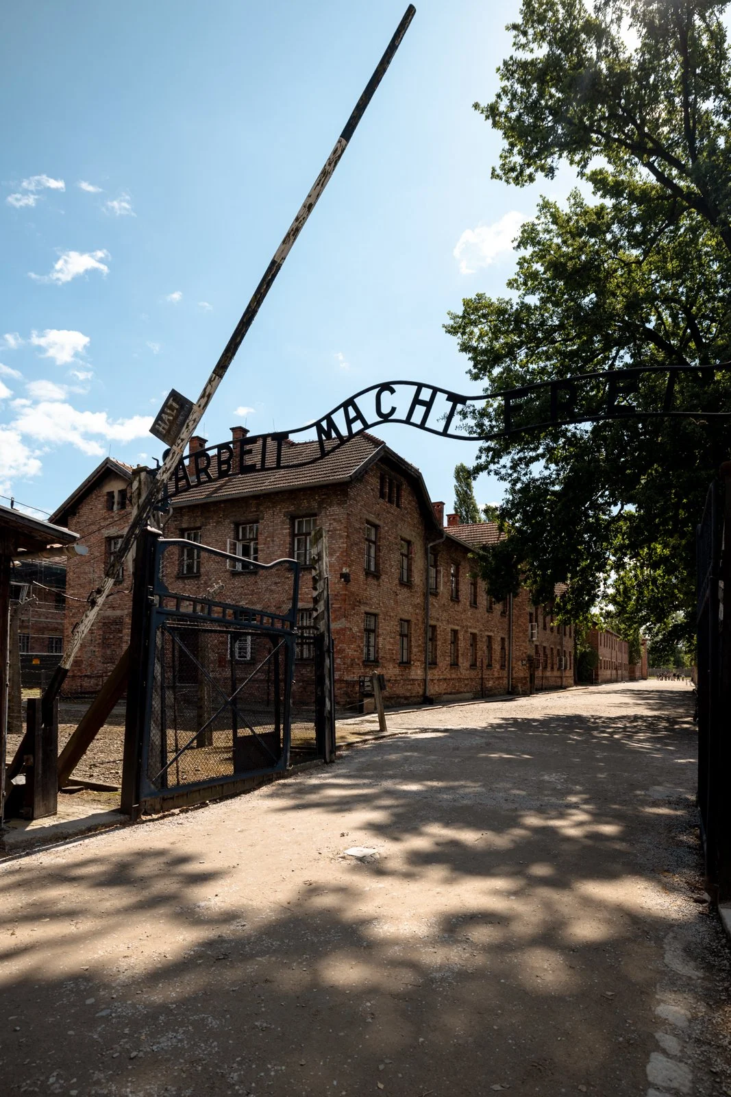 2026 AUSCHWITZ CAMP 1-8.jpg