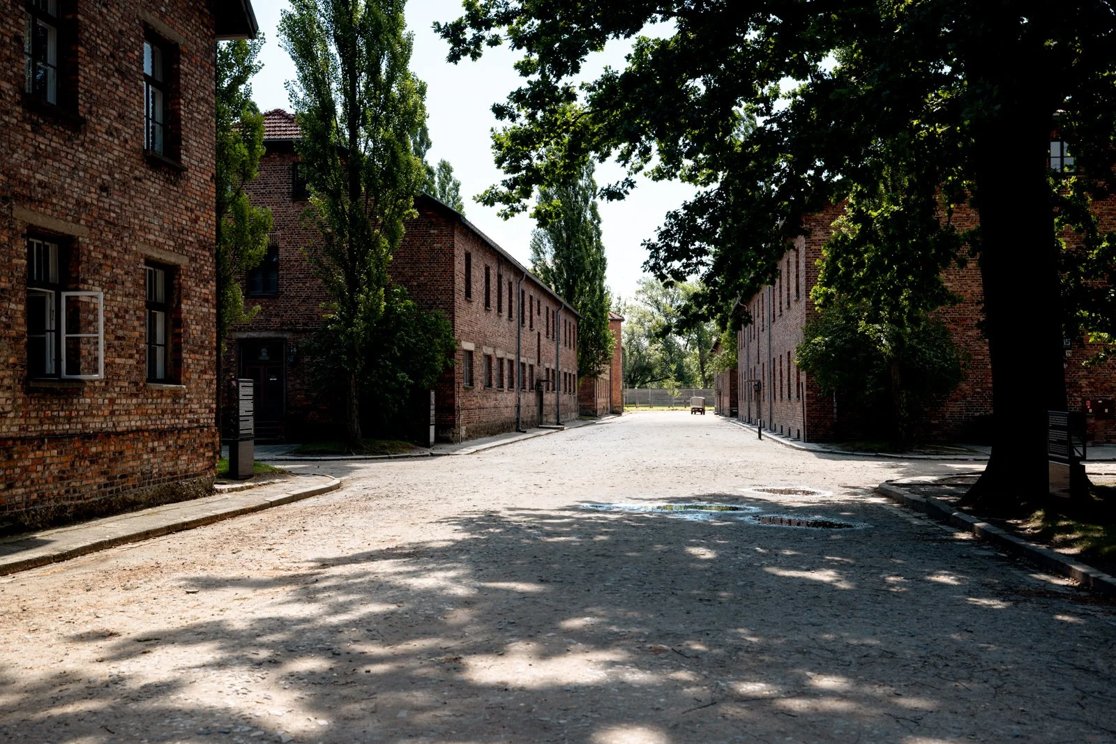 2026 AUSCHWITZ CAMP 1-11.jpg