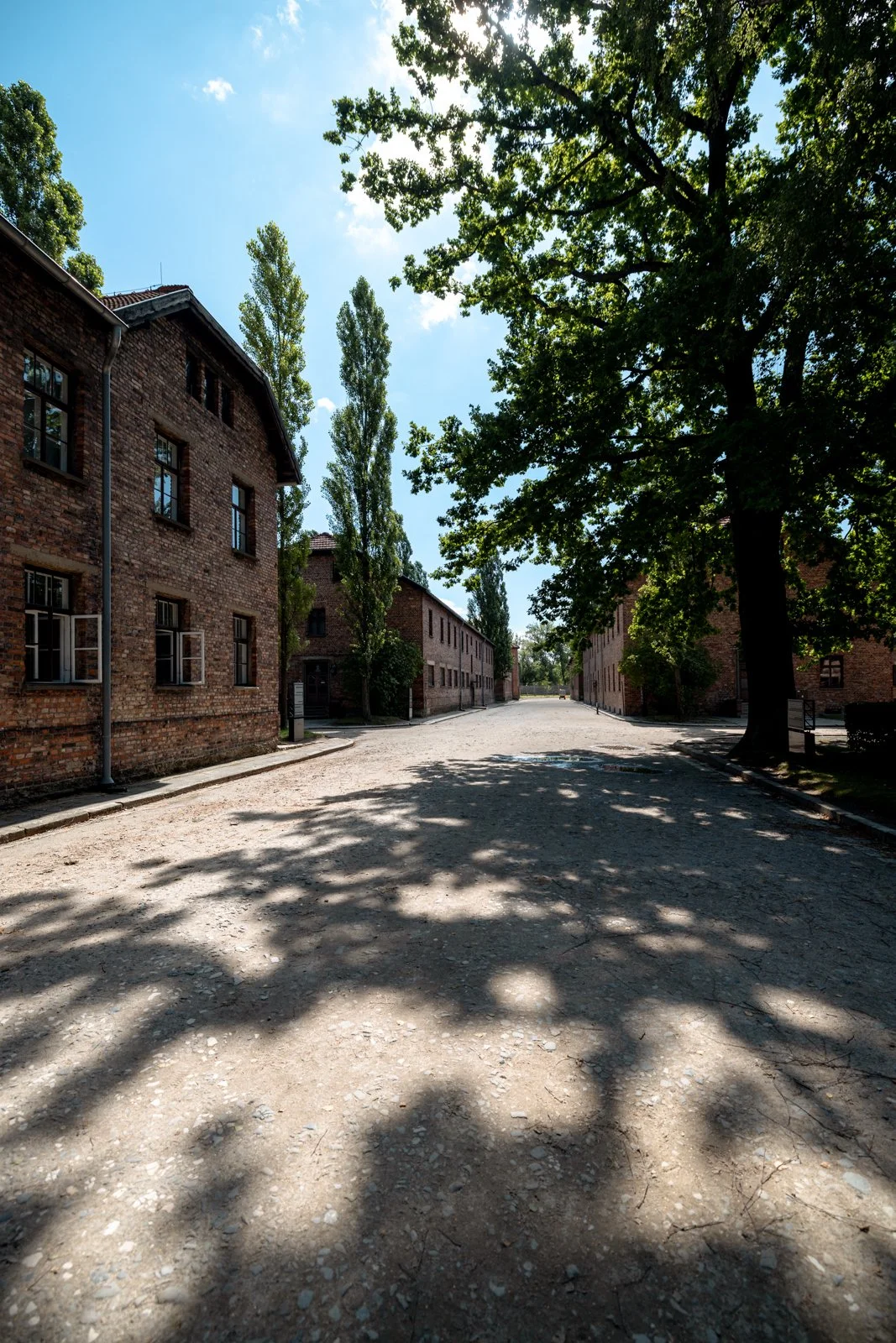 2026 AUSCHWITZ CAMP 1-12.jpg