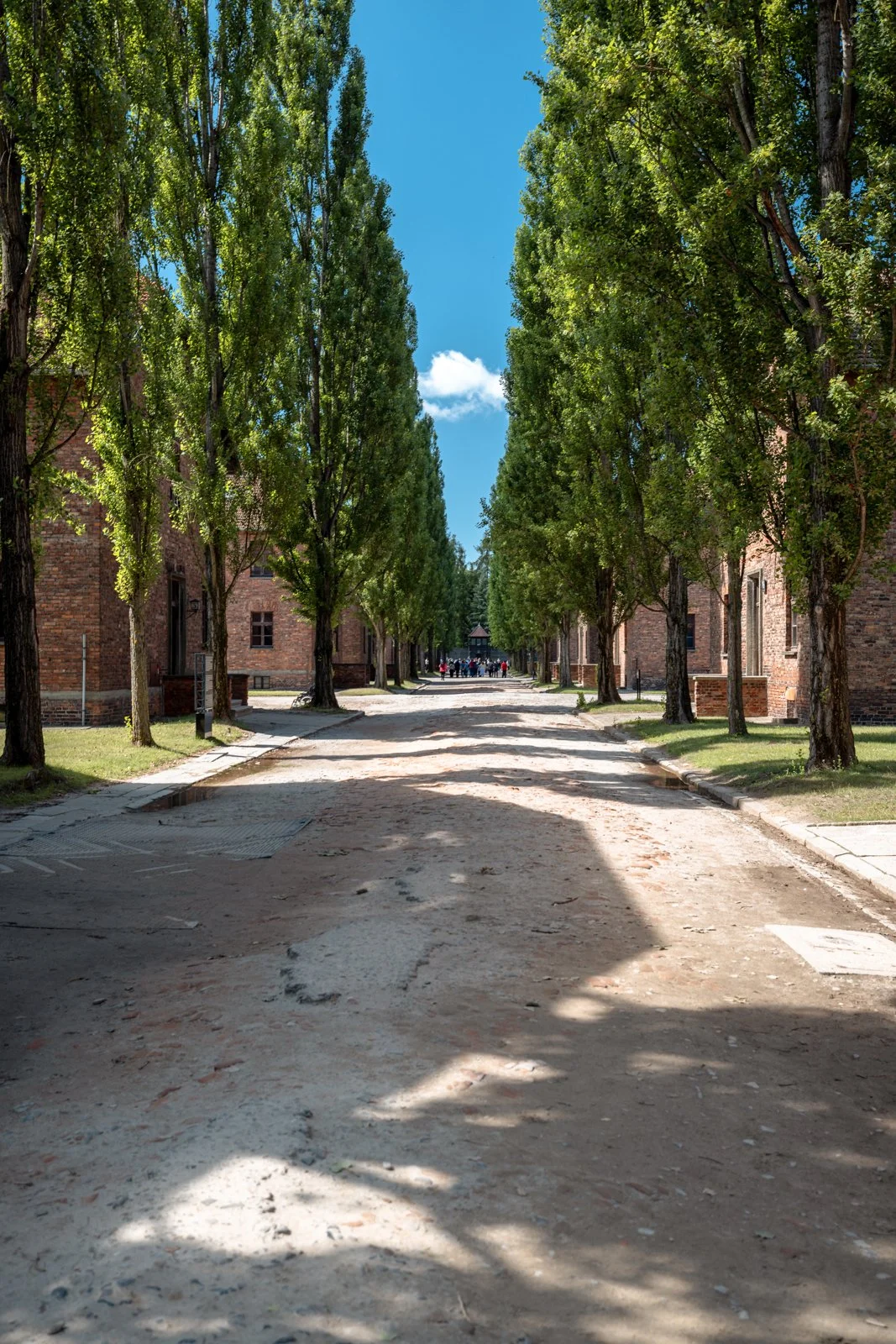 2026 AUSCHWITZ CAMP 1-13.jpg