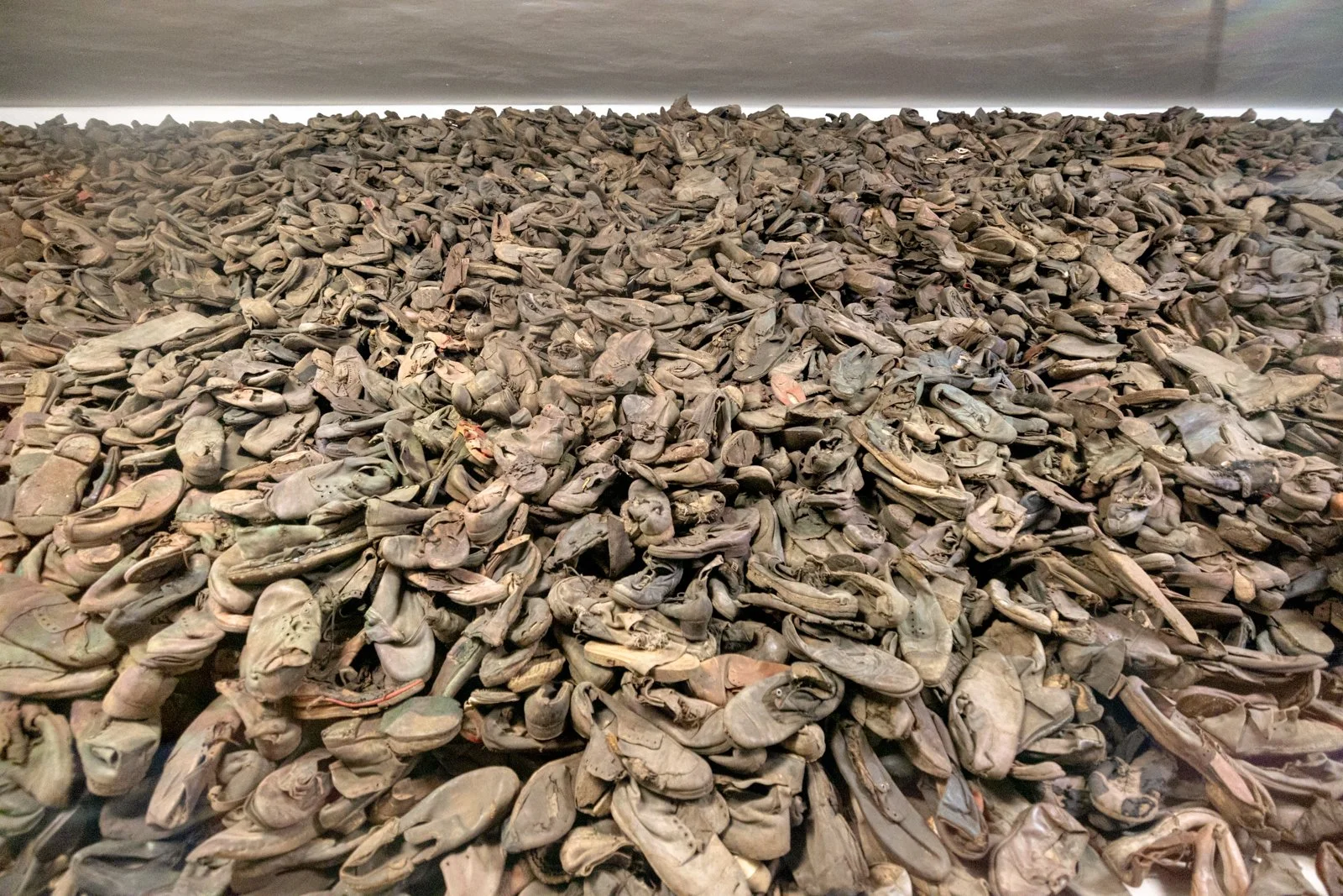 2026 AUSCHWITZ CAMP 1-26.jpg