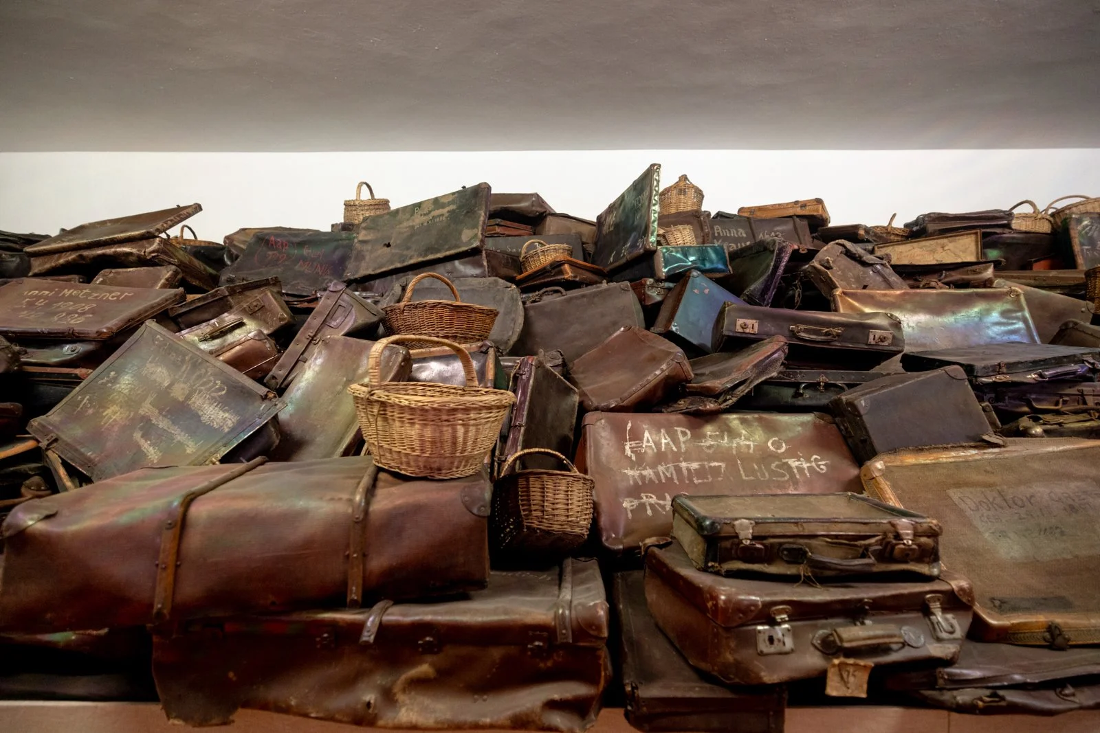 2026 AUSCHWITZ CAMP 1-27.jpg