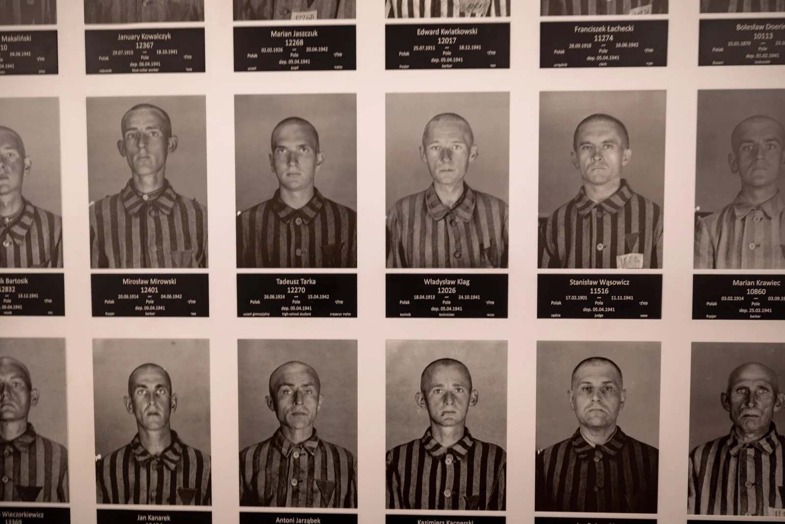 2026 AUSCHWITZ CAMP 1-39.jpg