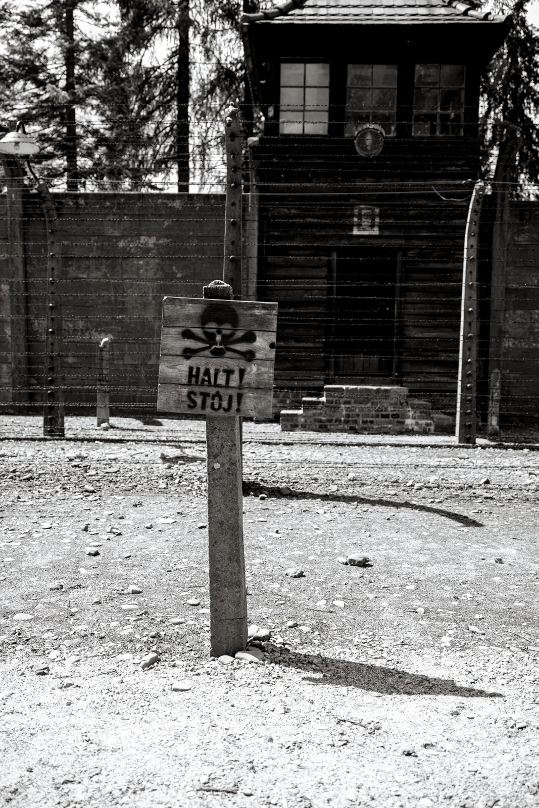 2026 AUSCHWITZ CAMP 1-42.jpg