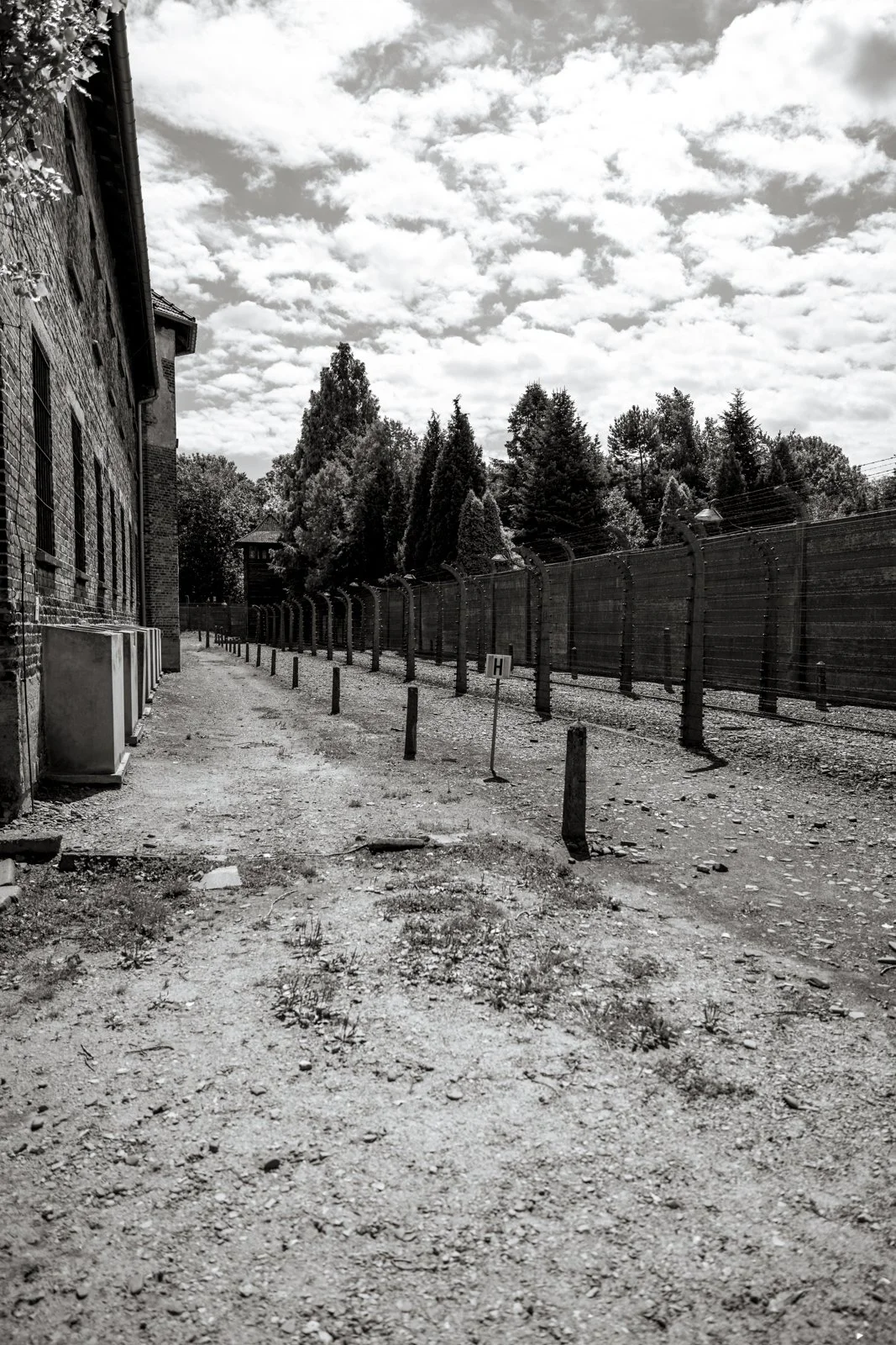 2026 AUSCHWITZ CAMP 1-44.jpg