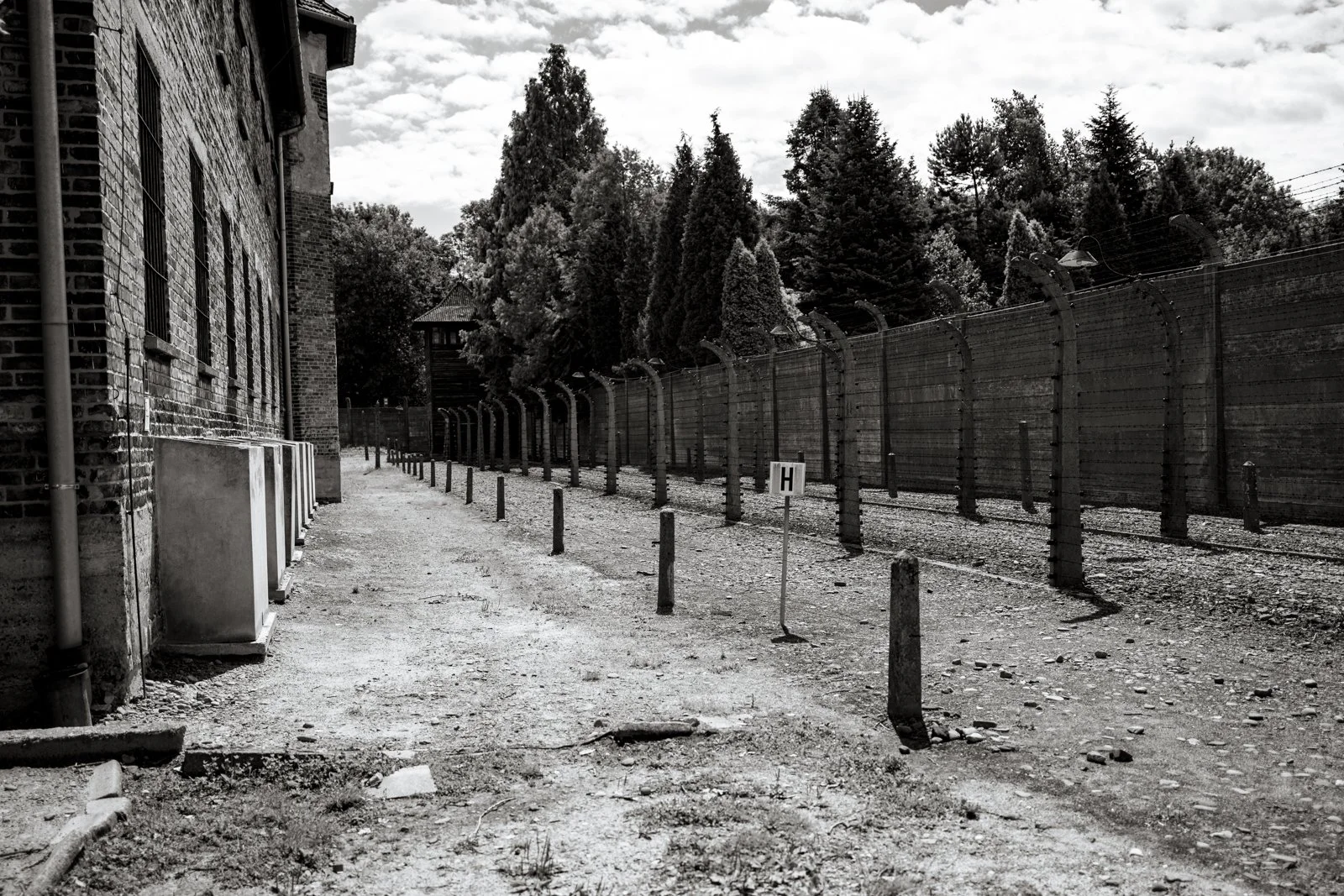 2026 AUSCHWITZ CAMP 1-45.jpg