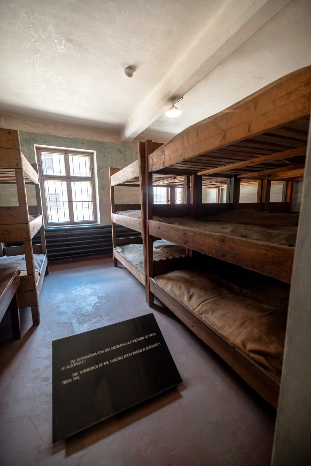 2026 AUSCHWITZ CAMP 1-47.jpg
