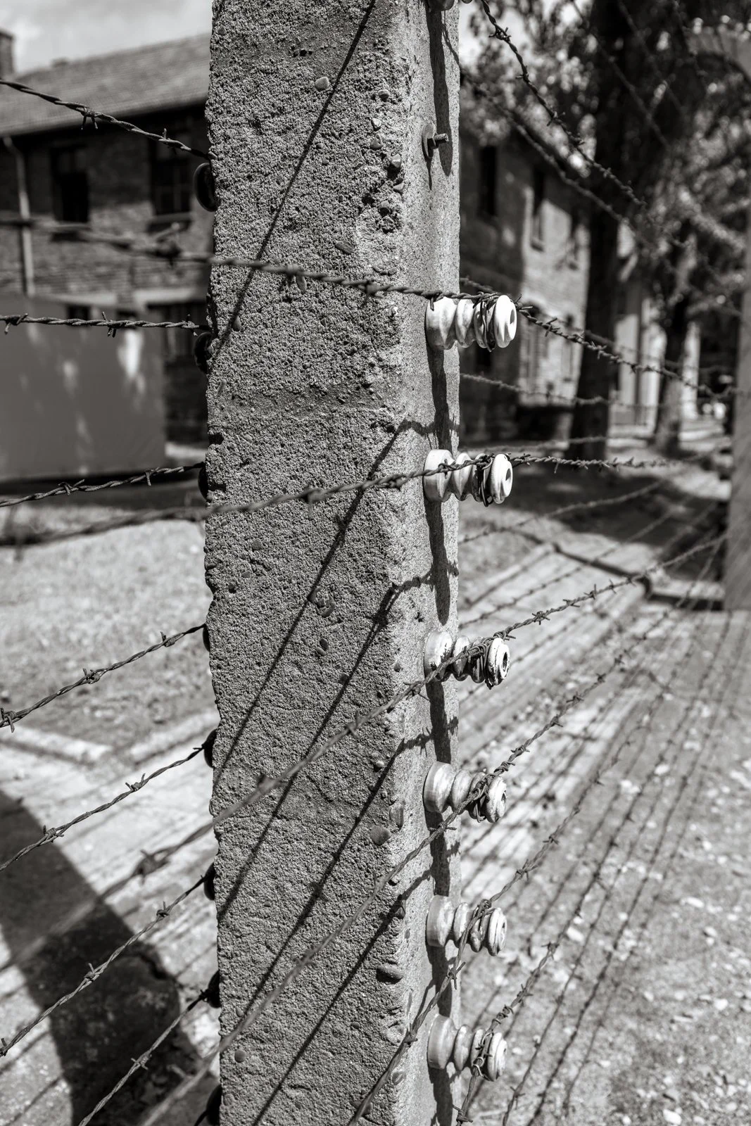 2026 AUSCHWITZ CAMP 1-53.jpg