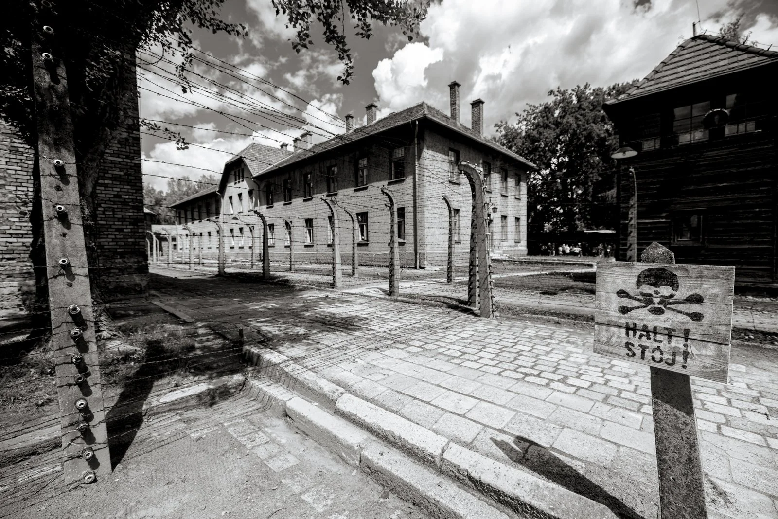 2026 AUSCHWITZ CAMP 1-55.jpg