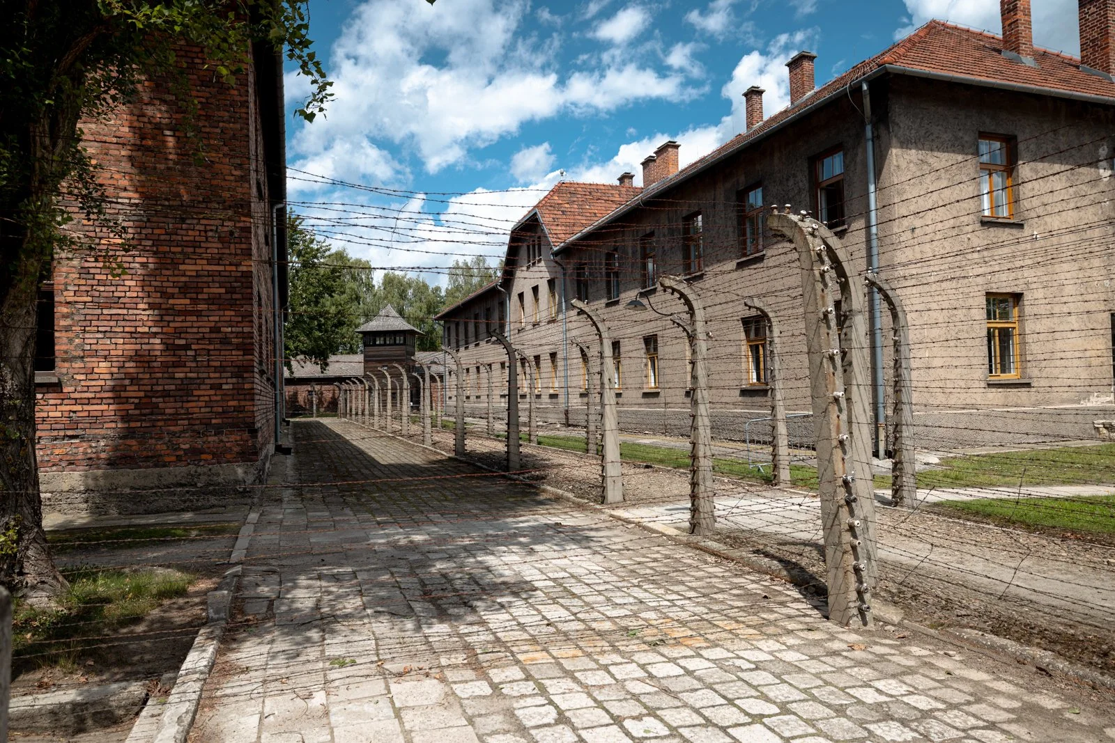 2026 AUSCHWITZ CAMP 1-56.jpg
