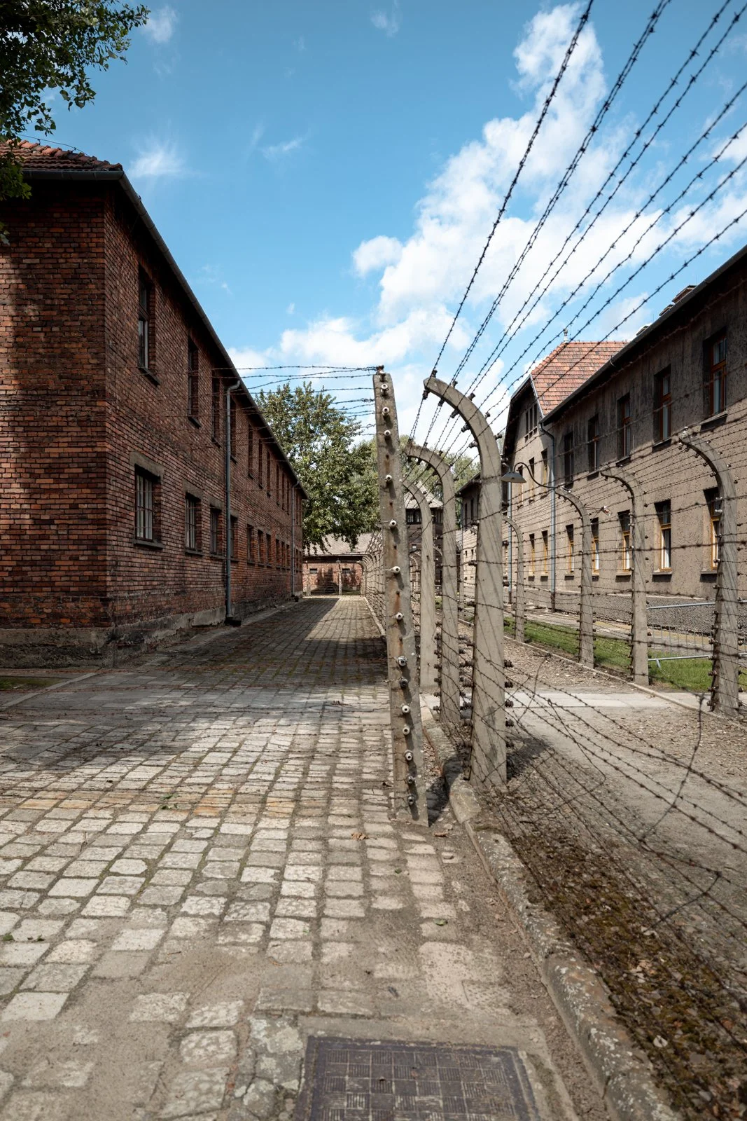2026 AUSCHWITZ CAMP 1-57.jpg