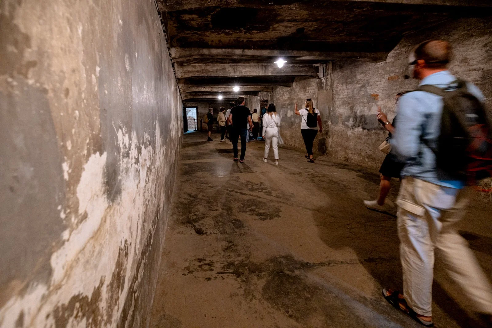2026 AUSCHWITZ CAMP 1-61.jpg