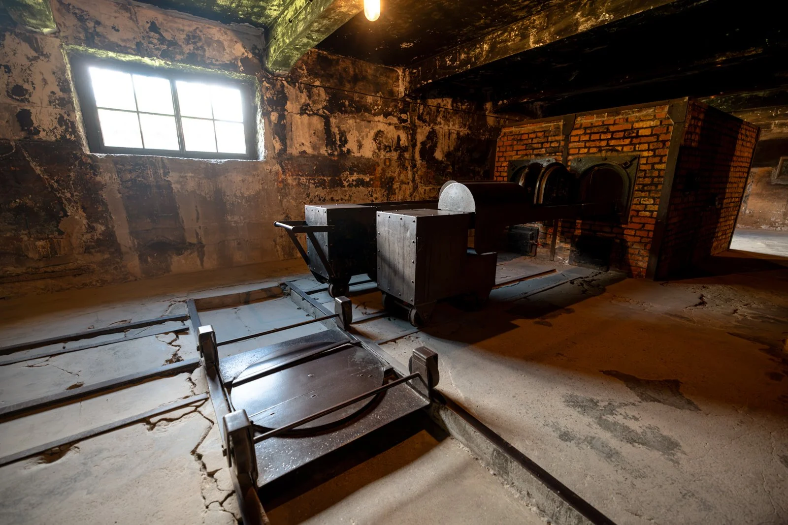2026 AUSCHWITZ CAMP 1-73.jpg