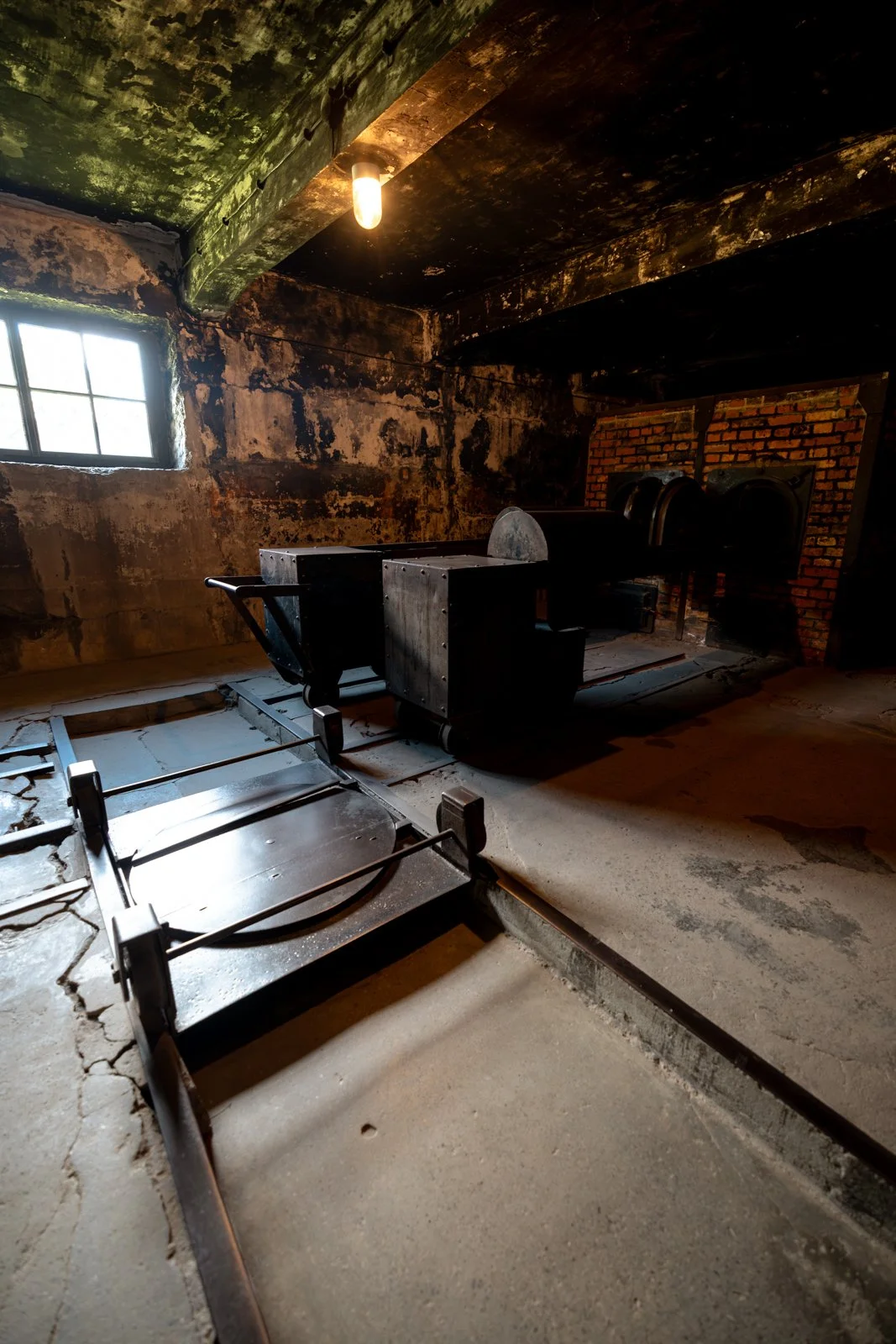 2026 AUSCHWITZ CAMP 1-74.jpg