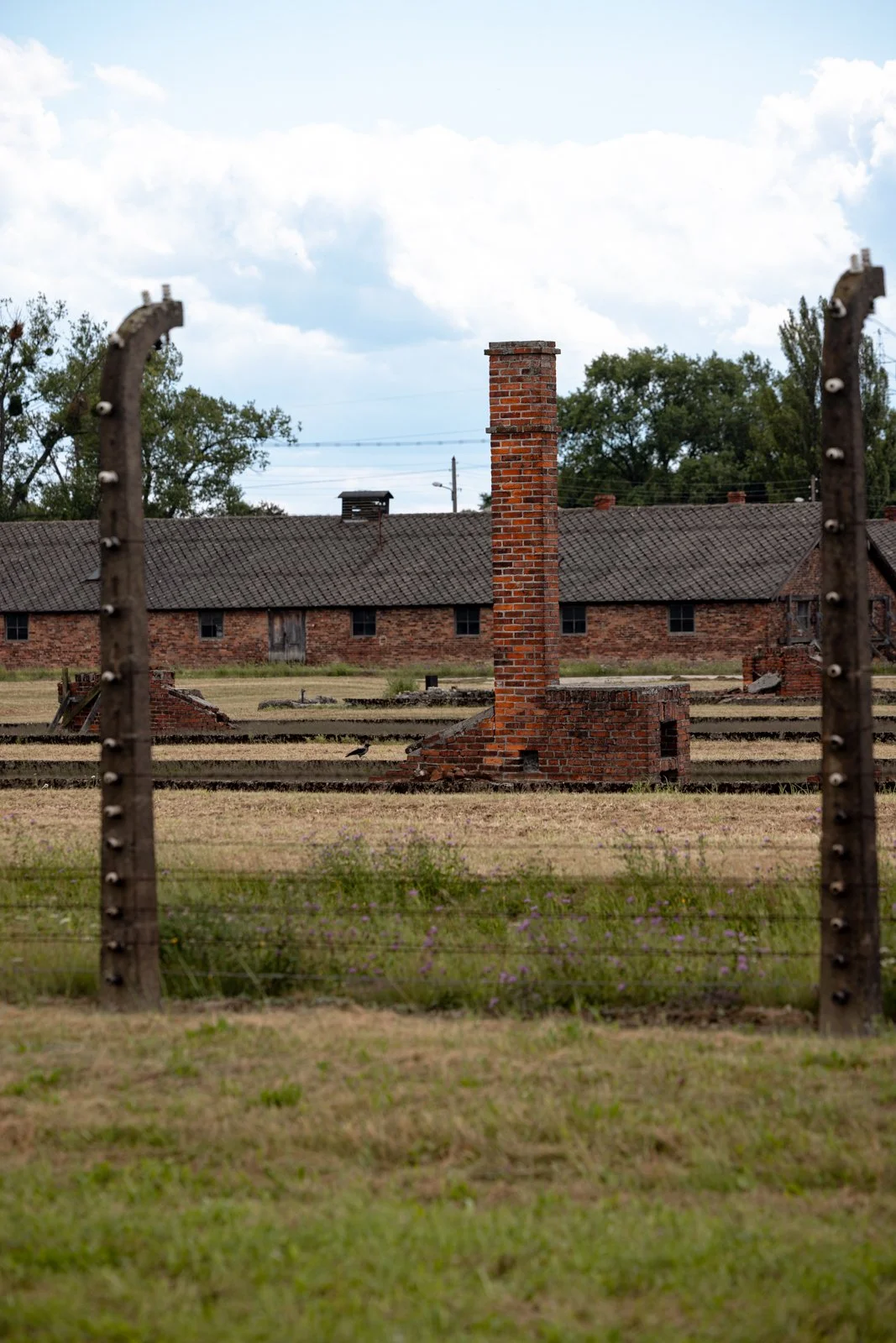 2026 AUSCHWITZ BIRKENAU-6.jpg